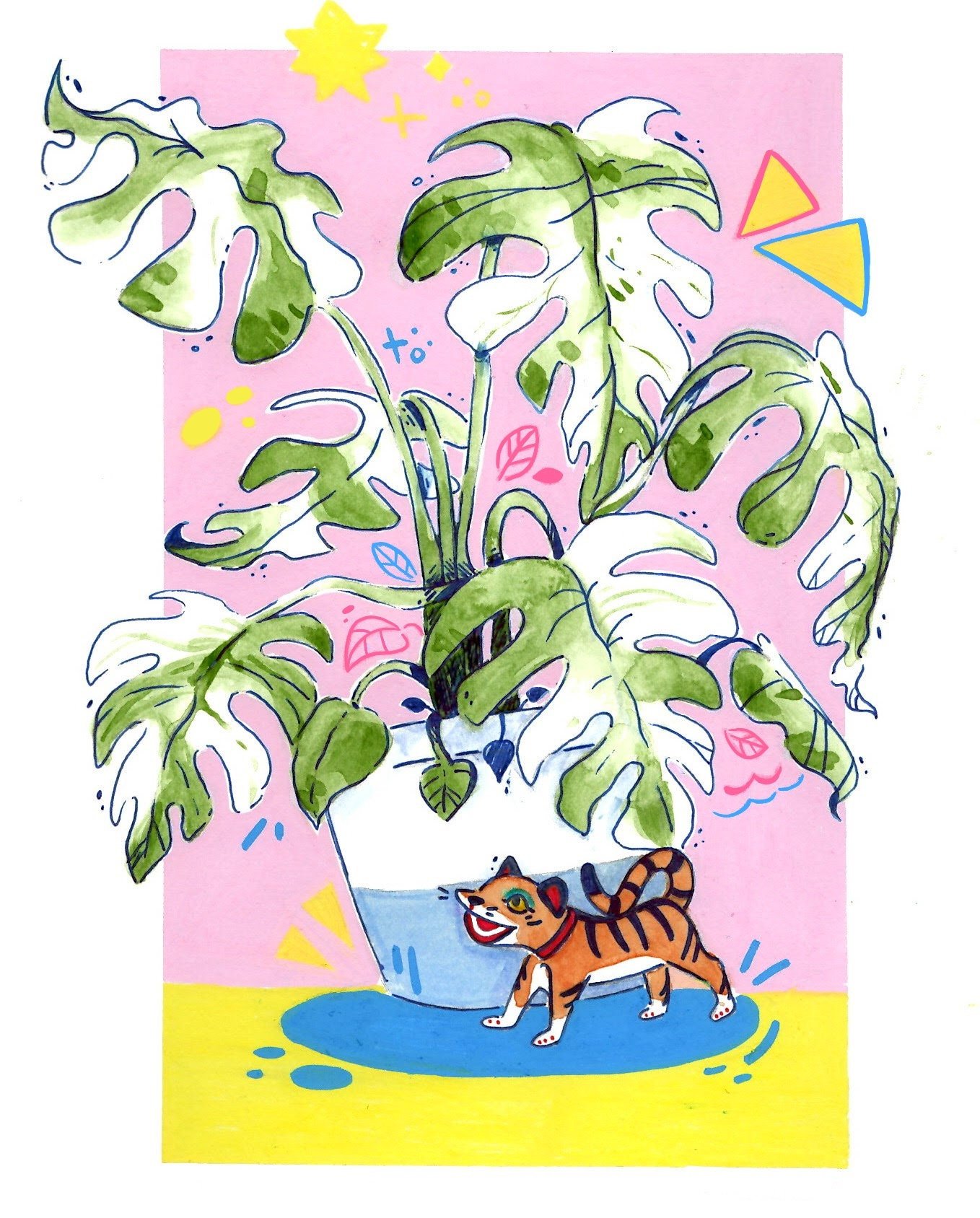 https://i.etsystatic.com/22632226/r/il/8cd9e2/2759443361/il_fullxfull.2759443361_f3h5.jpg