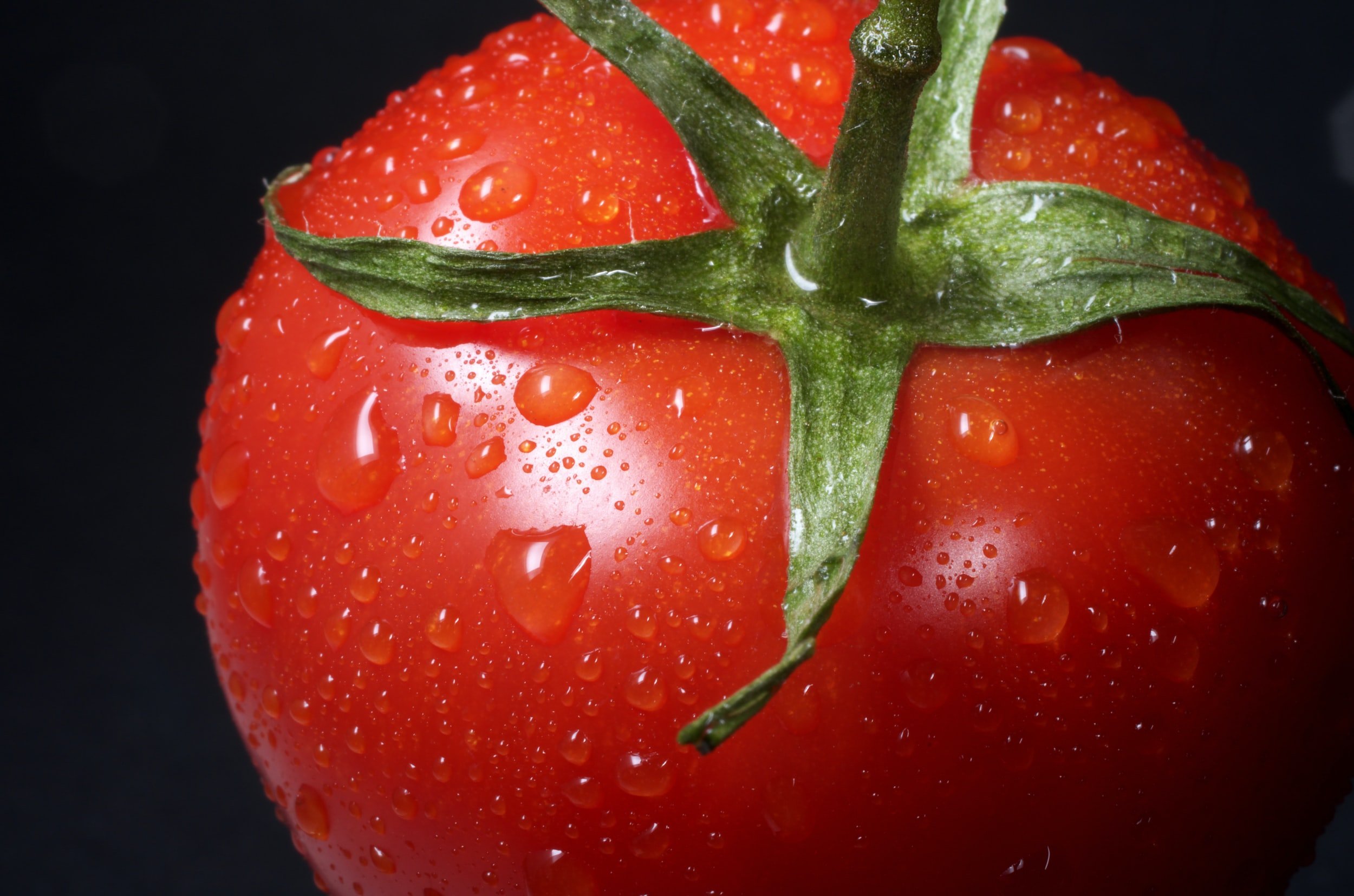 WOULD YOU EAT A ROTTEN TOMATO FOR A MILLION DOLLARS? - Children’s Book - After a young boy says he’d do anything for money, a voice from the sky challenges him to a rotten tomato-eating contest. But when the greedy boy cannot catch the tomatoes and i