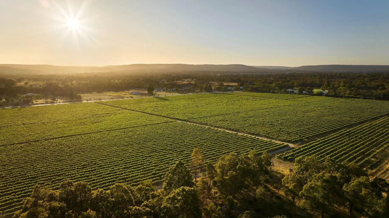 Nikola Estate in the Swan Valley