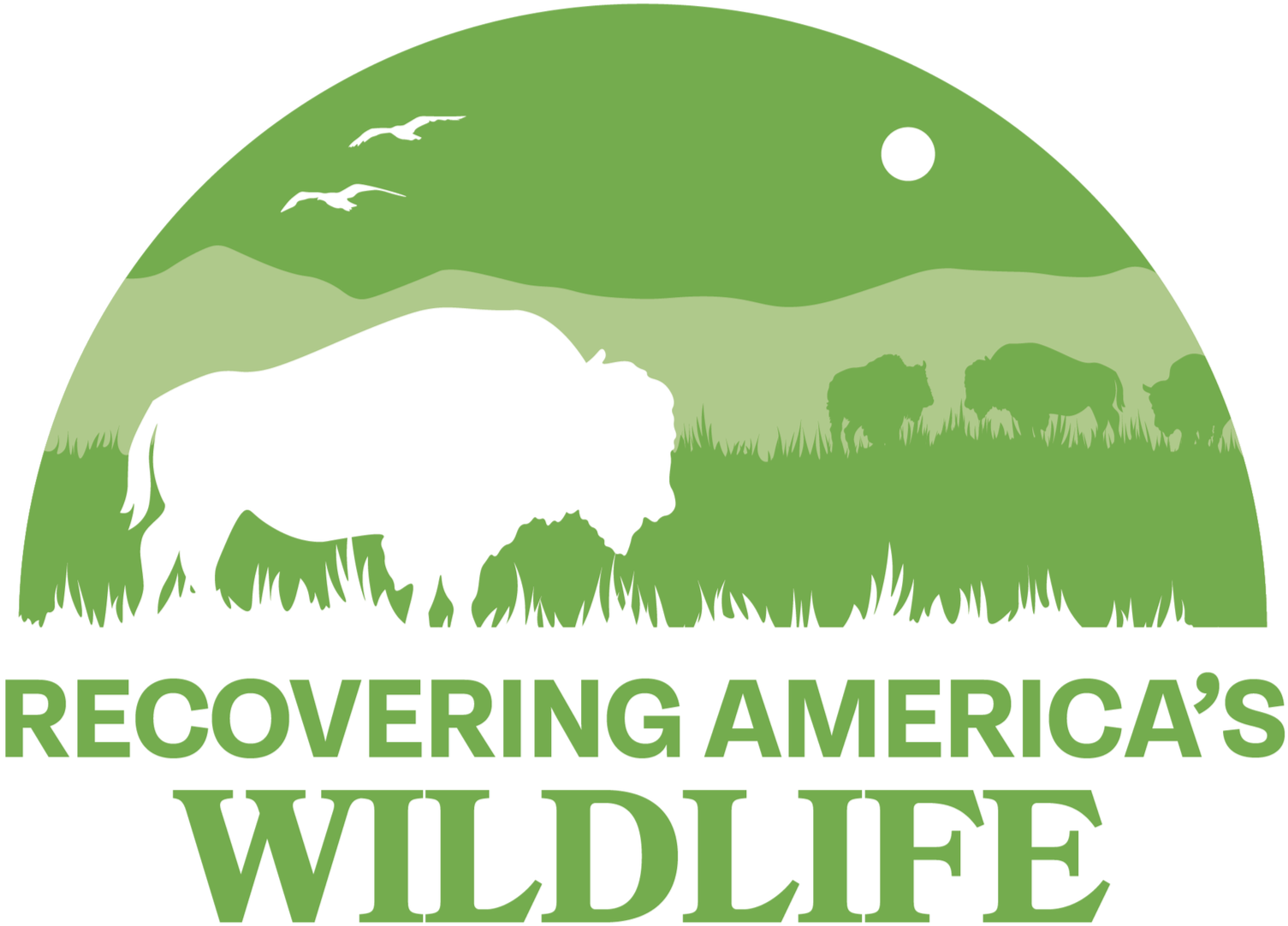 AME_Recovering-America%27s-Wildlife_LOGO_DRAFT-v3+copy.png