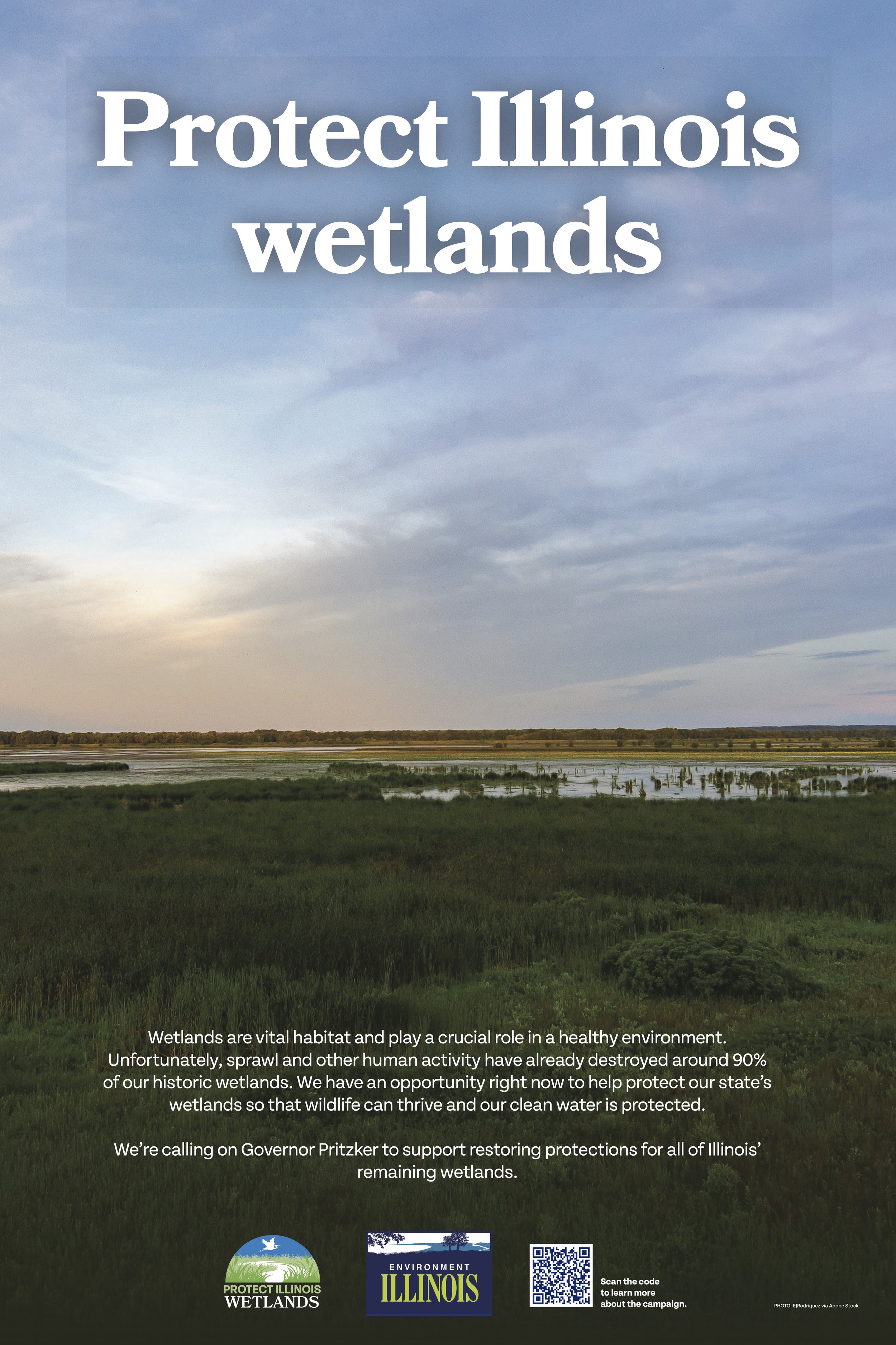 Wetlands.jpg