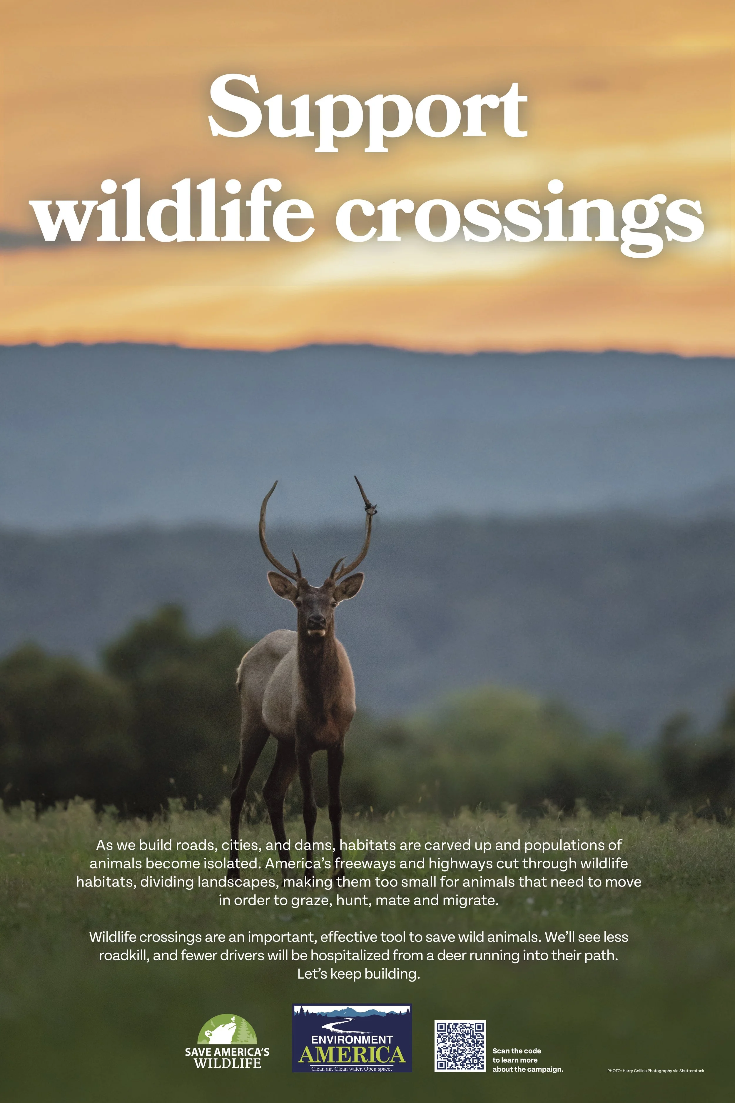 Wildlife crossings 1.jpg