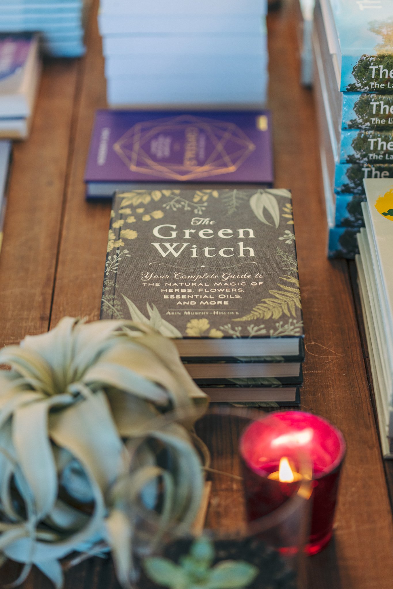 stack of the book 'The Green Witch' with a candle and plant