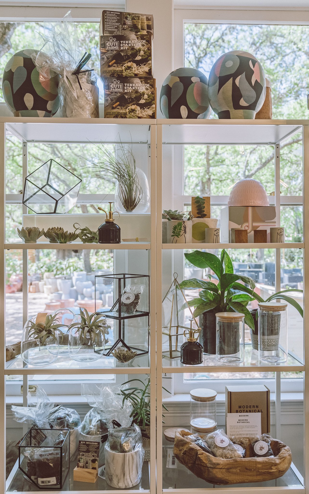 Indoor plant display with terrarium kits, potted plants, decorative items, glass containers, and gardening supplies on white shelves.