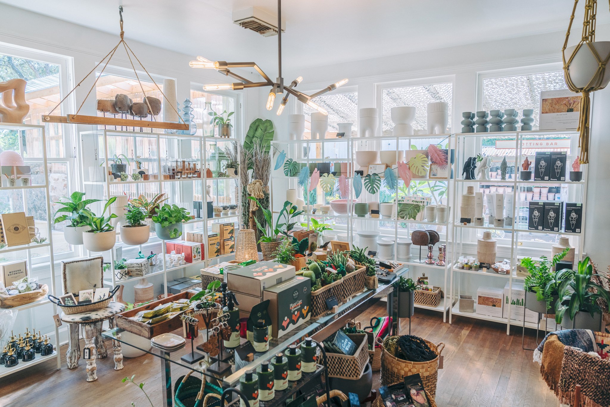 Interior of a plant and home decor retail store with potted plants, shelving units displaying vases, plant care products, and decorative items, wooden flooring, and large windows letting in natural light.