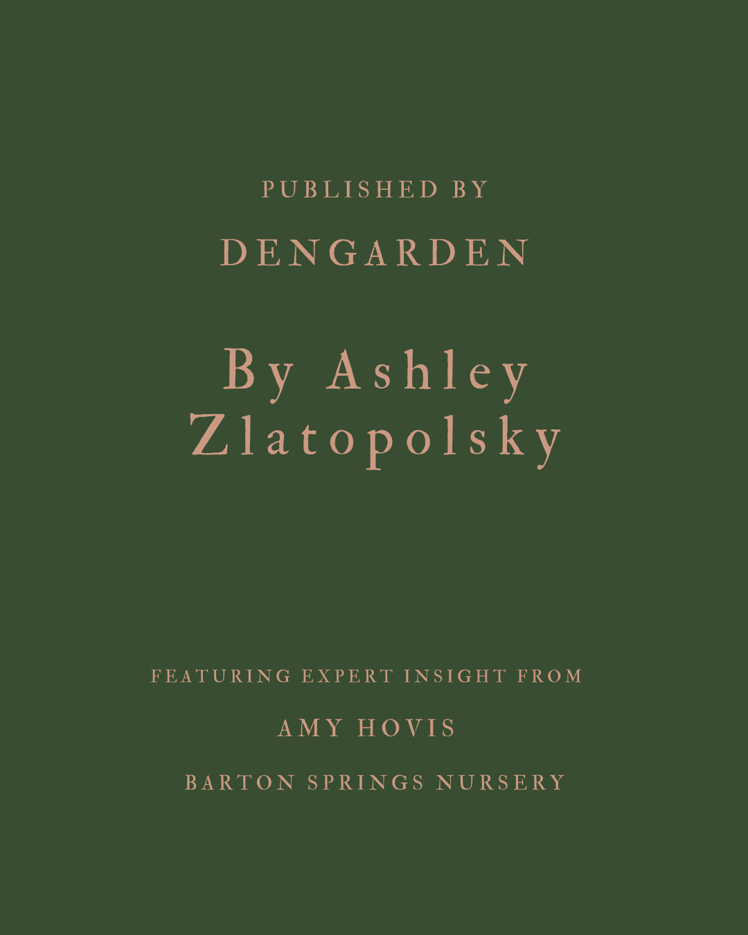 Image of Fiddle Leaf Fig and Care