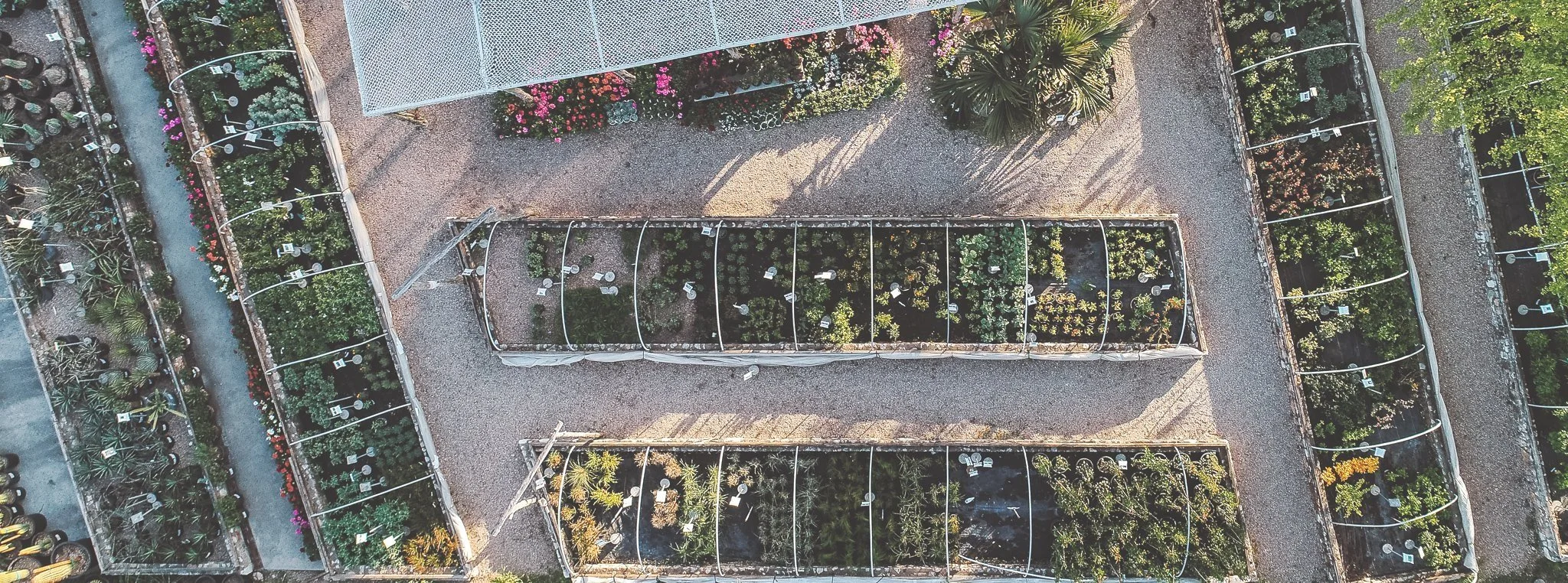 Native & Adapted Plants at Barton Springs Nursery Austin, Texas