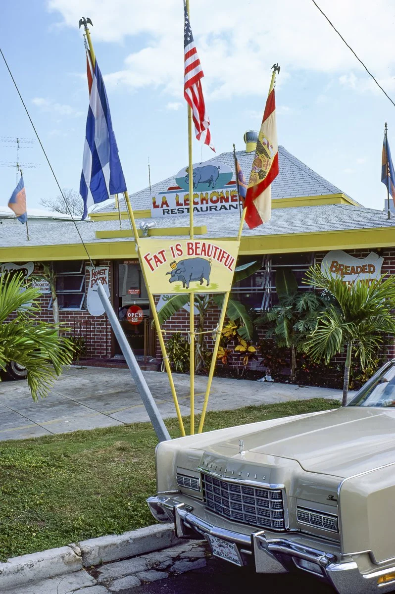 fat is beautiful-topaz-denoise-sharpen-upscale-3105h.jpg