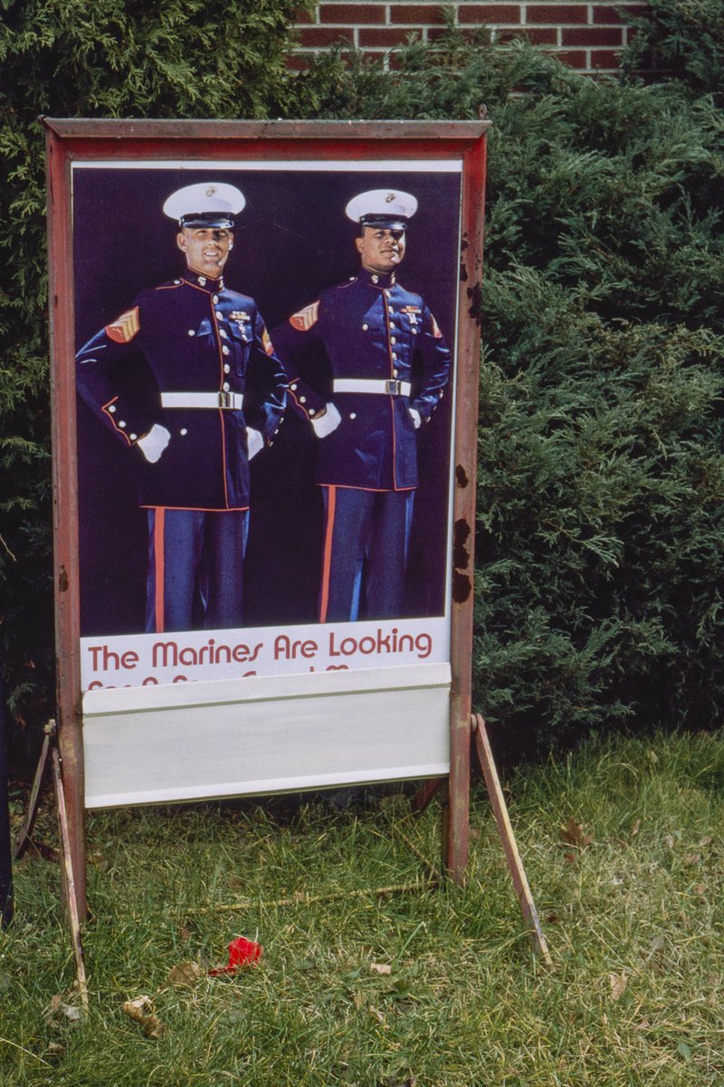 Marines are looking.jpg