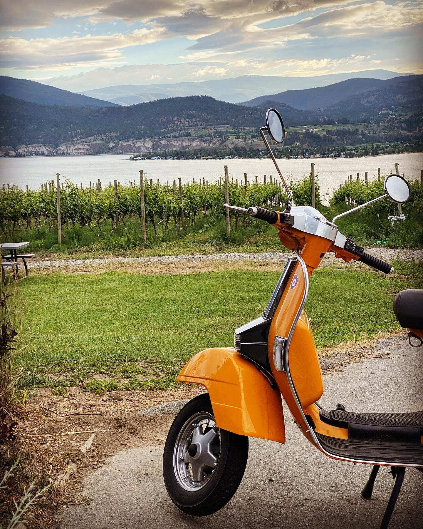 It doesn&rsquo;t take a poet to see the poetry 🤍
&bull;
&bull;
&bull;
#vespa #vineyardviews #vineyards #naramatabench #naramatabenchwineries #naramatalove #instagood #photooftheday #beautiful #art #photography #happy #picoftheday #cute #summer #food