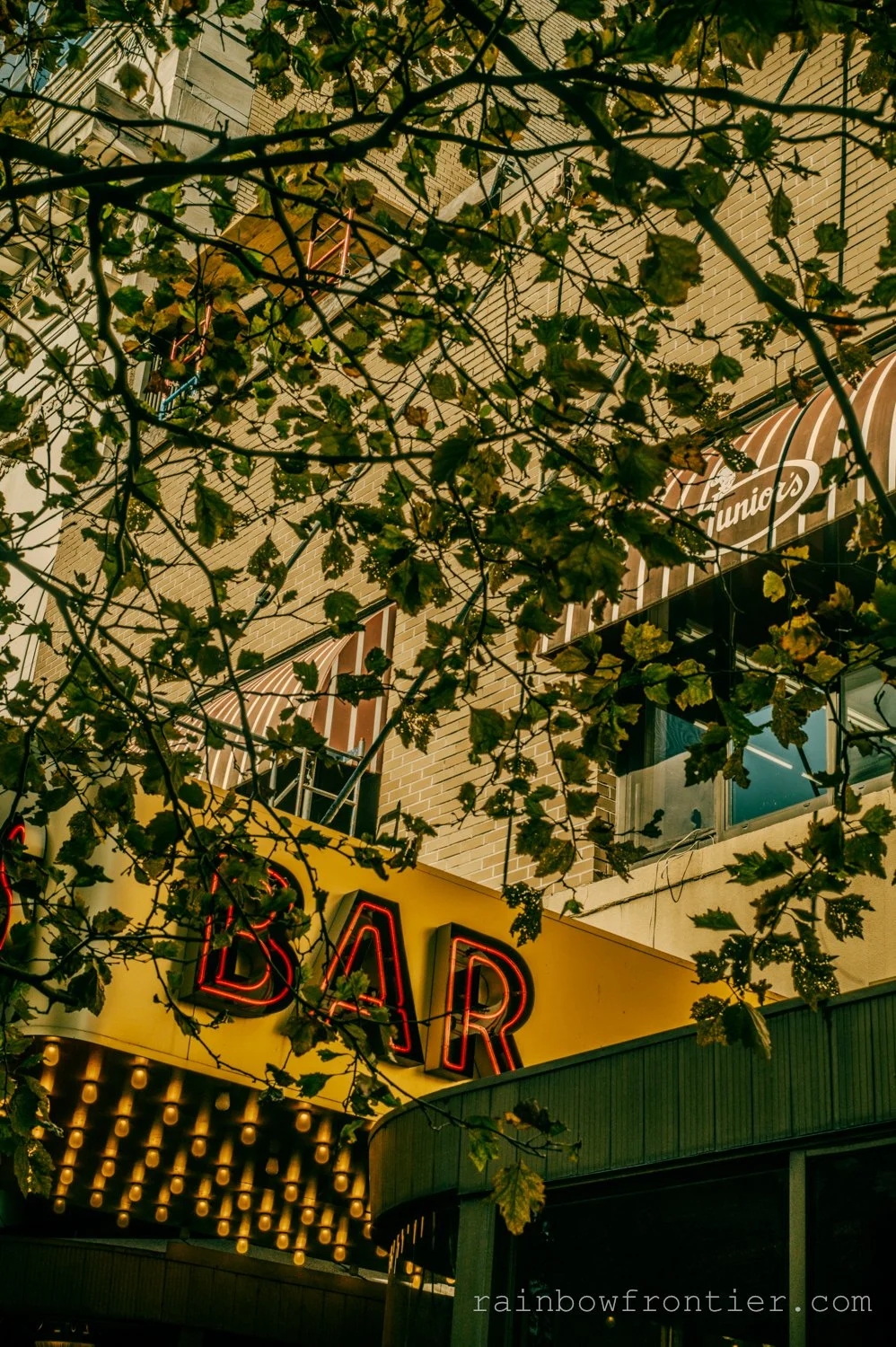 NYC_EvK-17.jpg