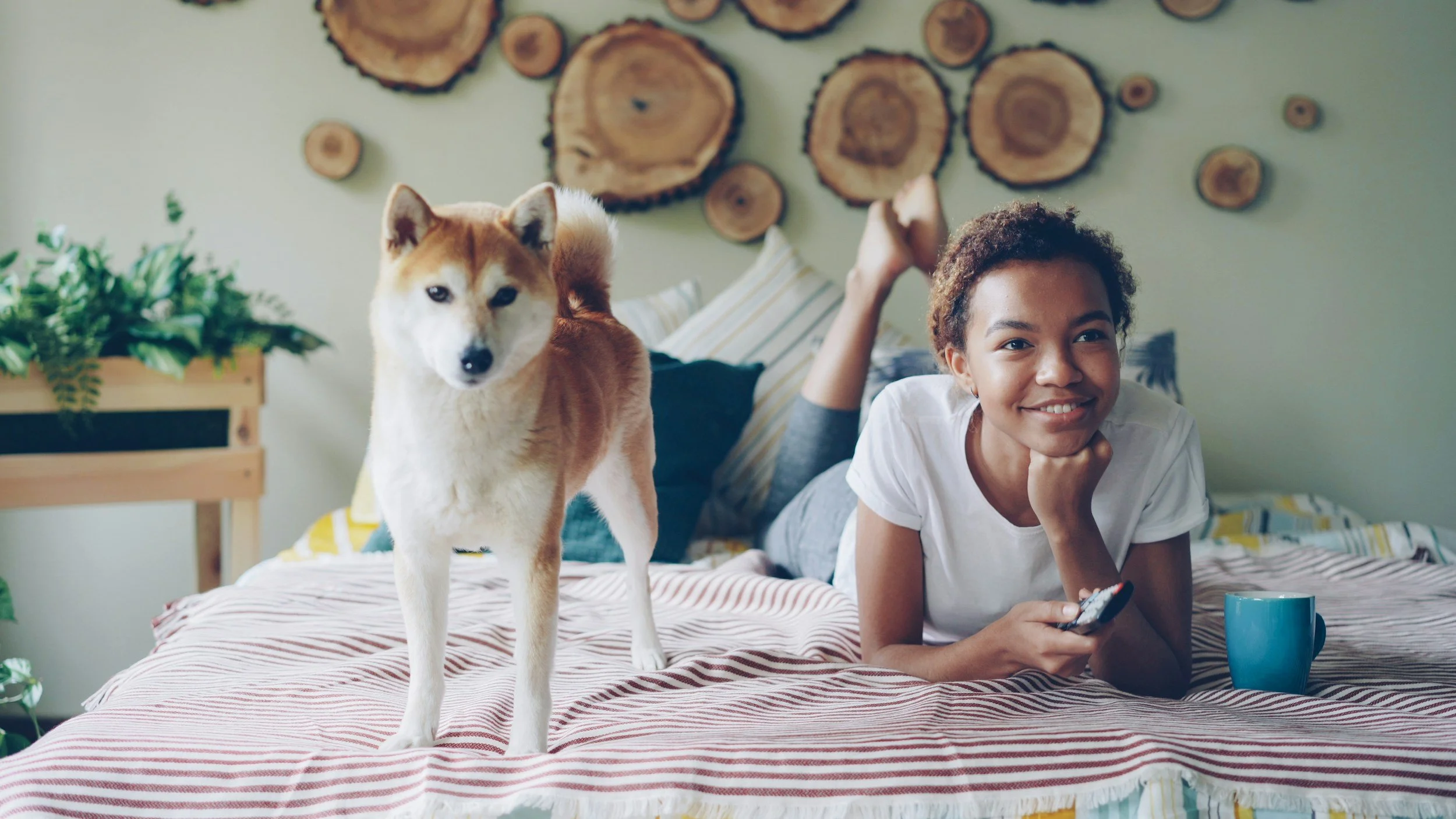 A young woman with curly hair lying on her stomach on a bed, holding a TV remote, with a smile. A dog, likely a Shiba Inu, stands on the bed in front of her, looking at the camera. The room has a wall with wood slice decorations, a potted plant, and colorful cushions.