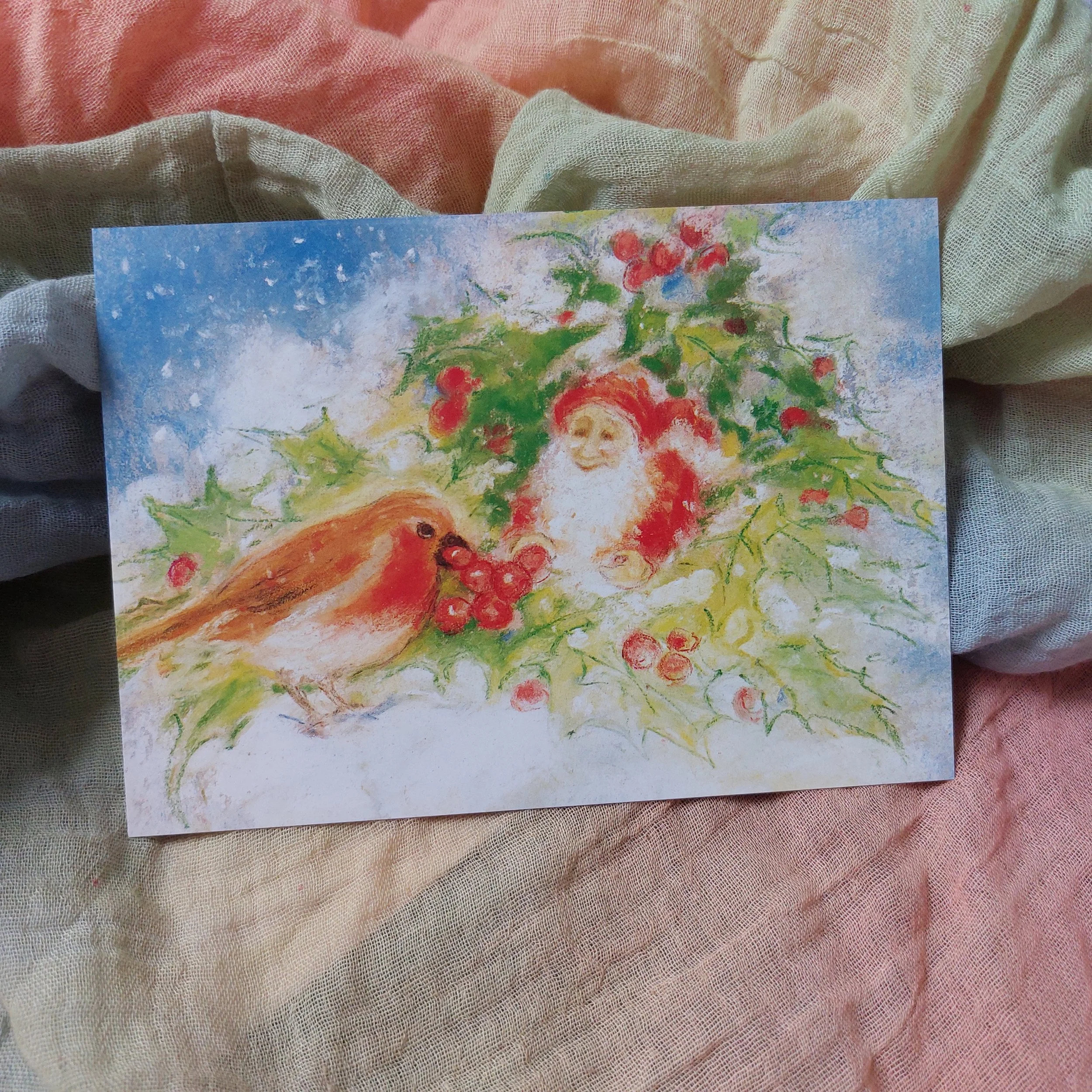 Winter Robin (postcard) - Marjan van Zeyl