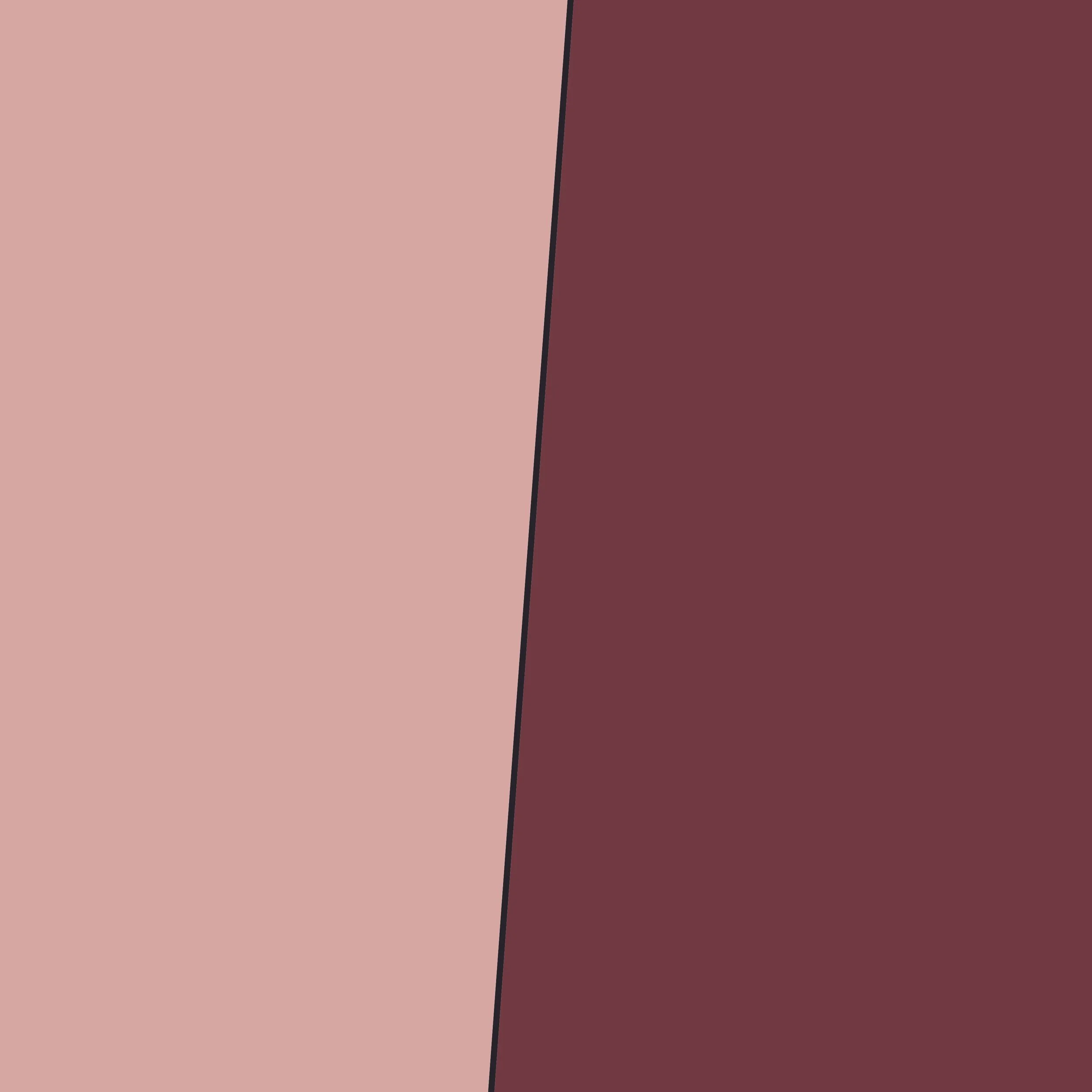 Abstract geometric patterns with pink and maroon colors separated by a diagonal black line.