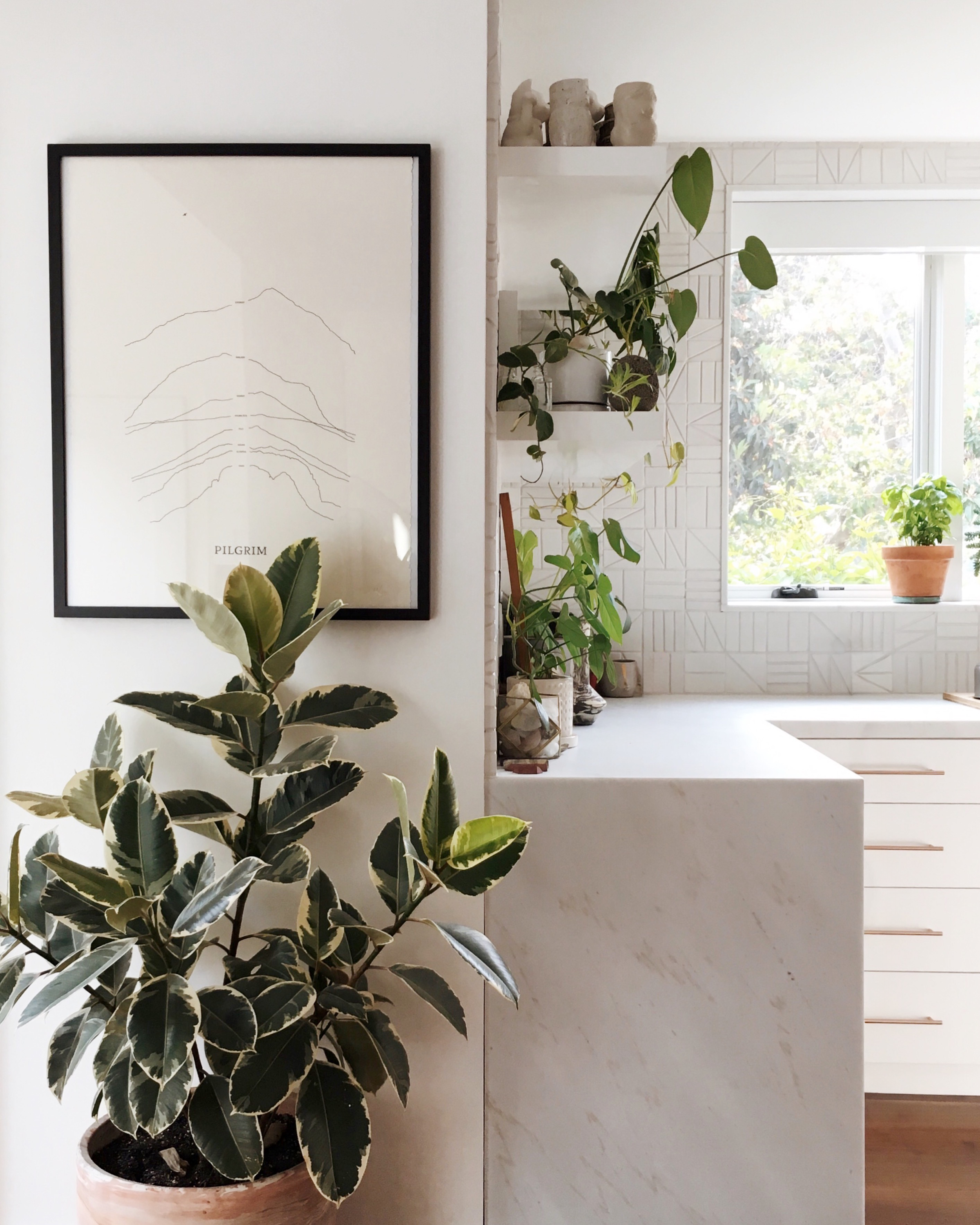 LA Design. A white kitchen with a window, potted plants on the windowsill and shelves, a framed minimalist line drawing of mountains with the word "PILGRIM" underneath, and a large variegated plant in a pink pot in the foreground.