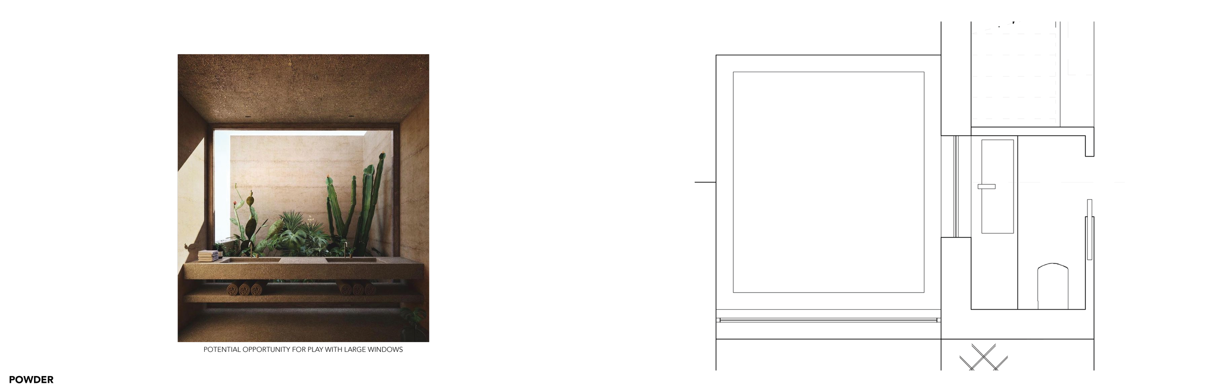 Interior view of a room with a large window opening to a small indoor garden of tall cacti and succulents, with sunlight casting shadows.