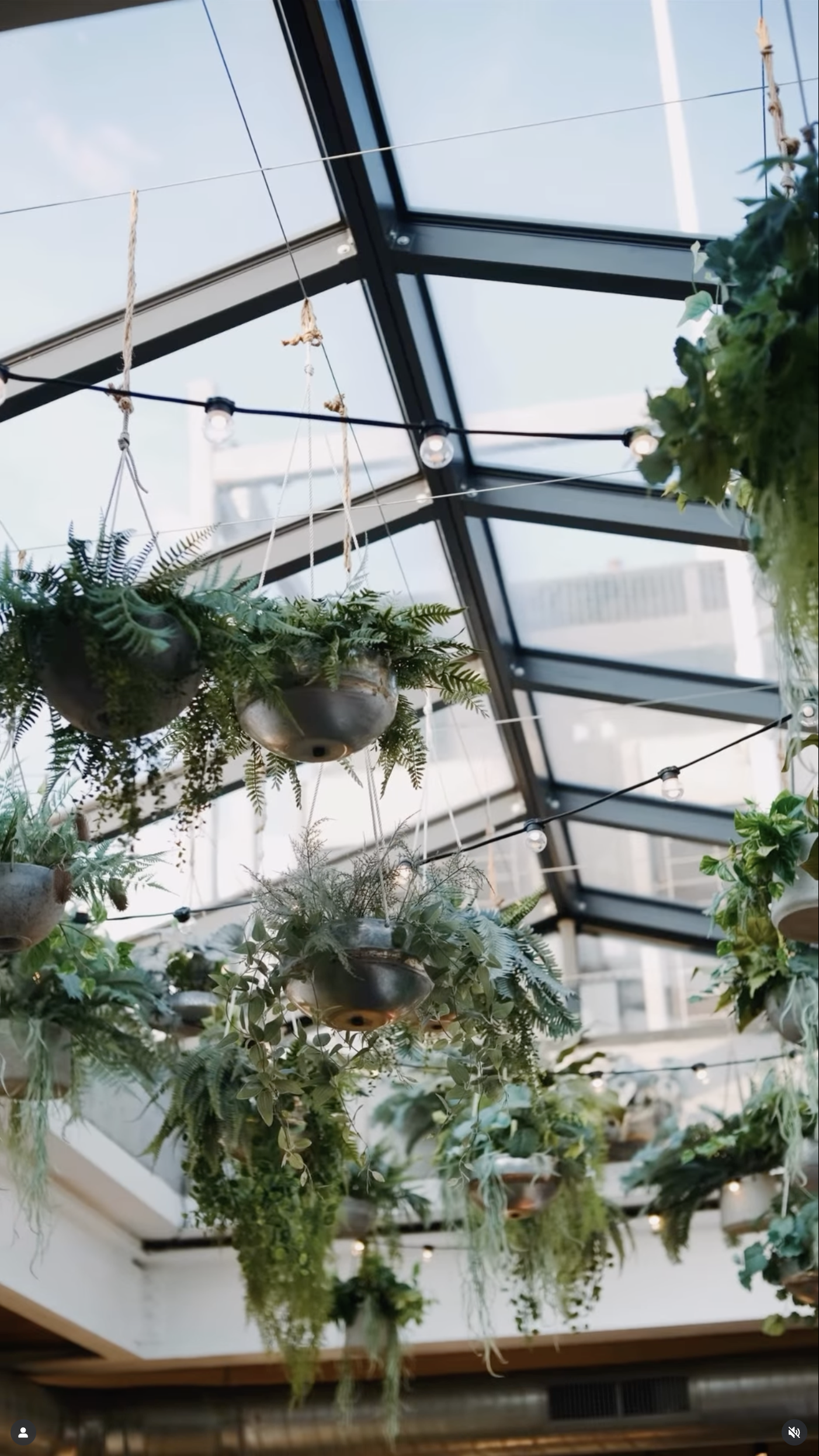 Rockaway Hotel Roof Restaurant. Hanging plants and greenery in a greenhouse or indoor garden with a glass ceiling and string lights.