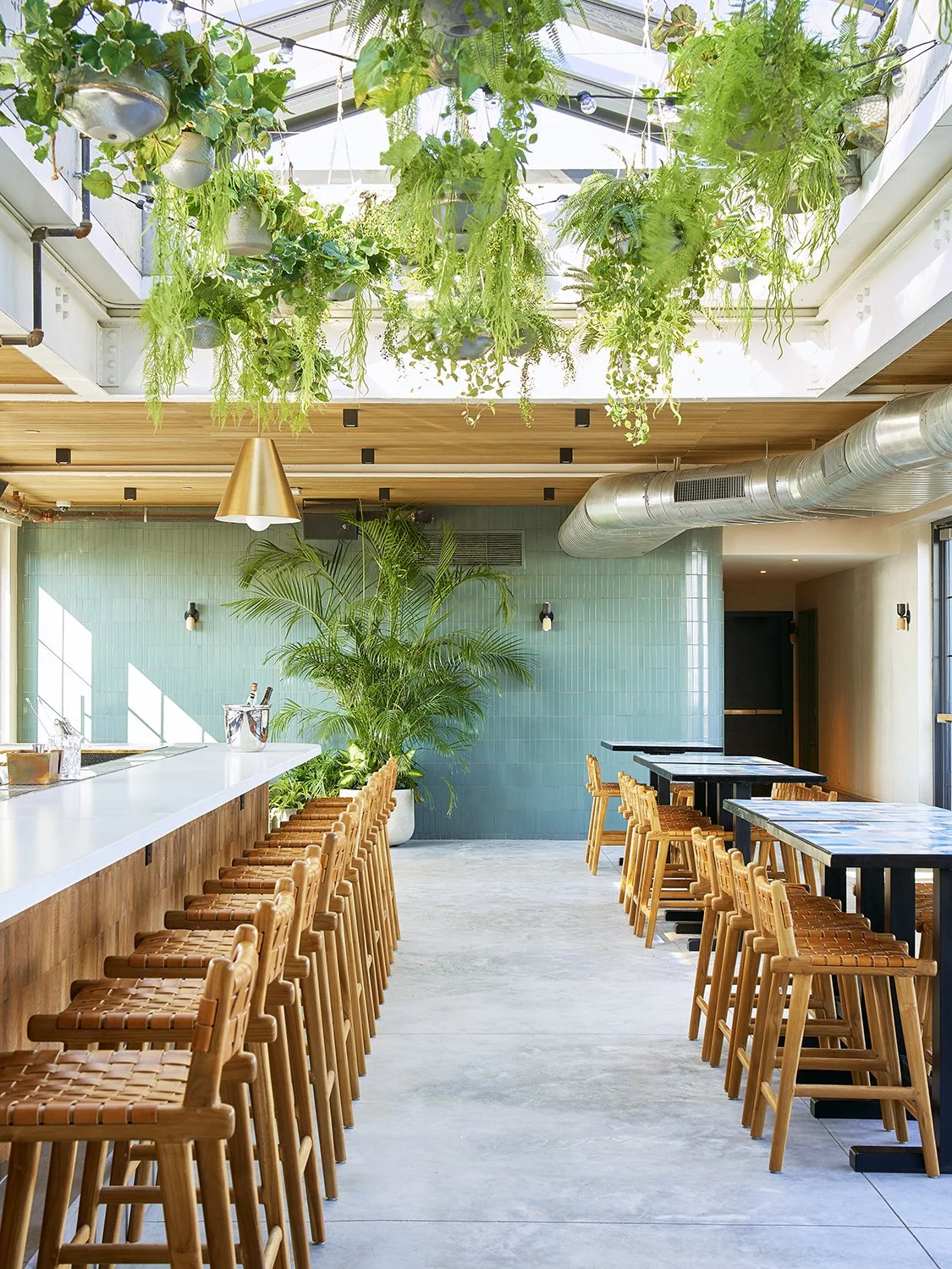 Rockaway Hotel Roof. A modern, bright interior of a restaurant or cafe with wooden chairs, a white bar counter, green plants, a blue tiled accent wall, and hanging greenery from the ceiling.