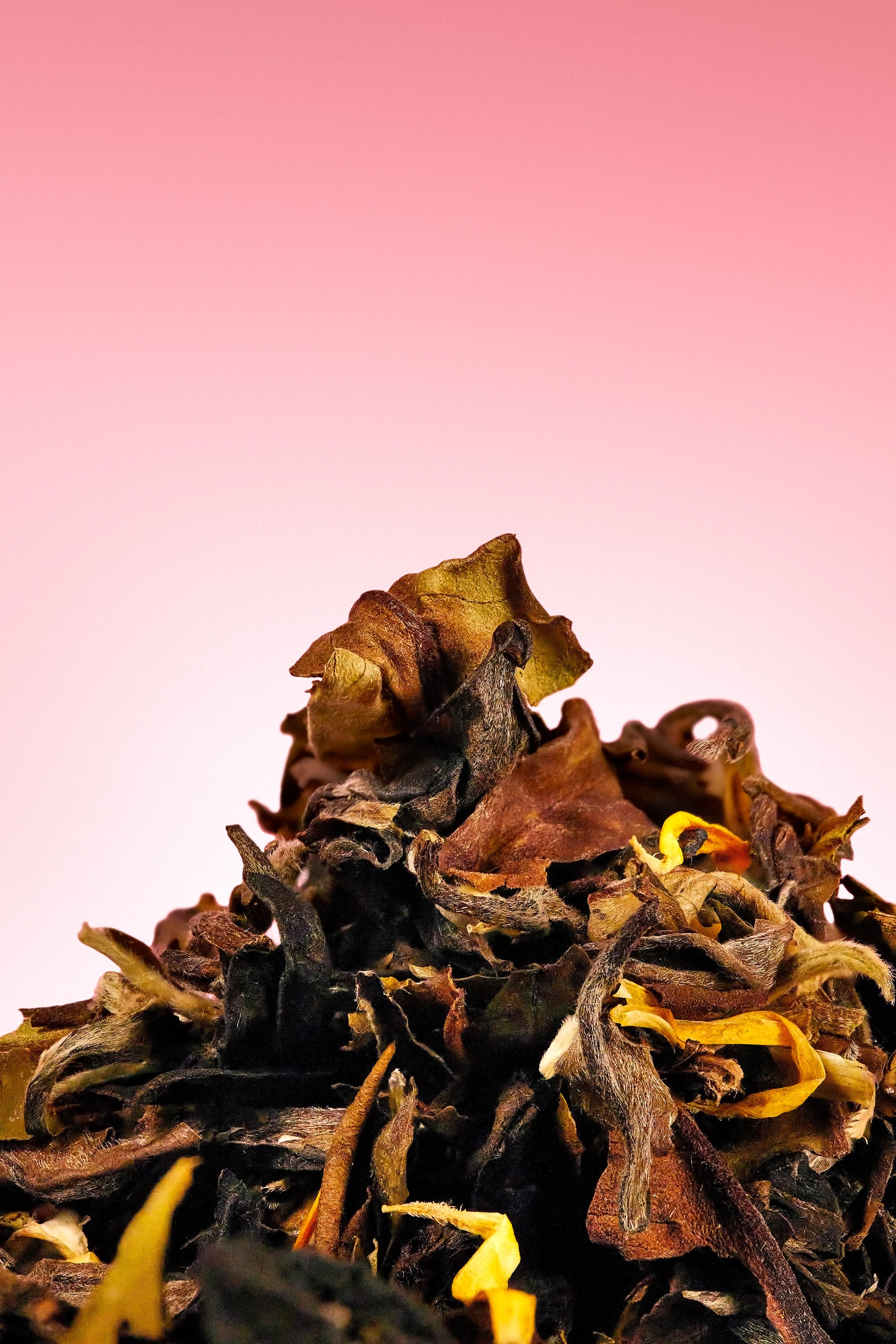 Gros plan de feuilles de thé sèches sur un fond rose. Les feuilles sont brunes et texturées.
