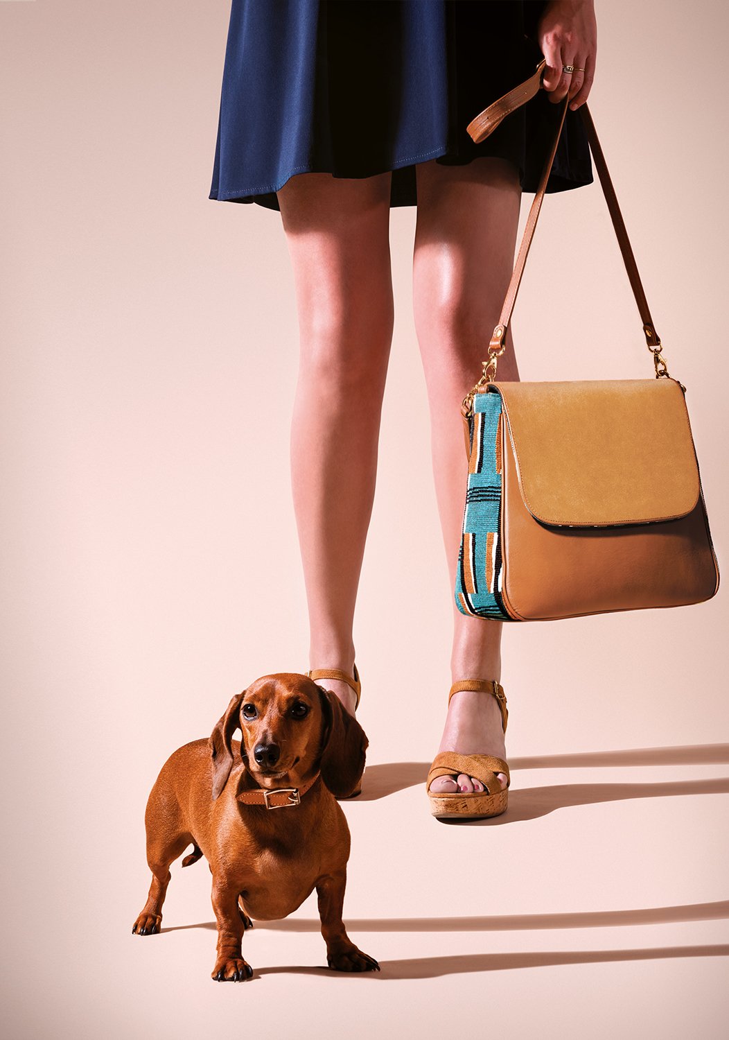 Chien teckel à côté des jambes d'une femme portant une robe bleue et tenant un sac à main beige avec une sangle bleue et orange. La femme porte des sandales à talons compensés beige.