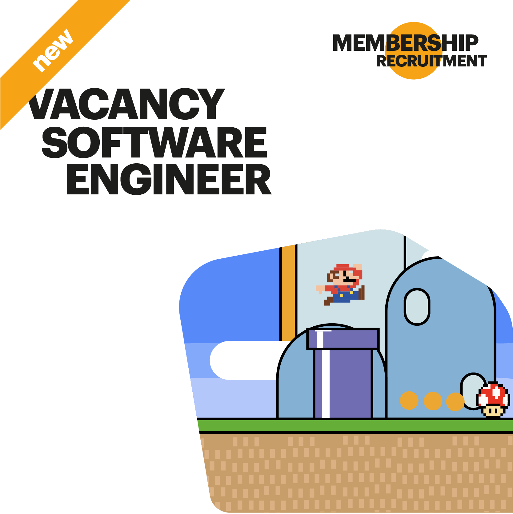 Software Engineer
