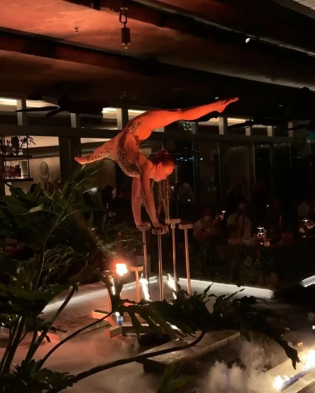 Step into the evening at MILA, where signature dining, refined cocktails, and a captivating ambiance define the night.