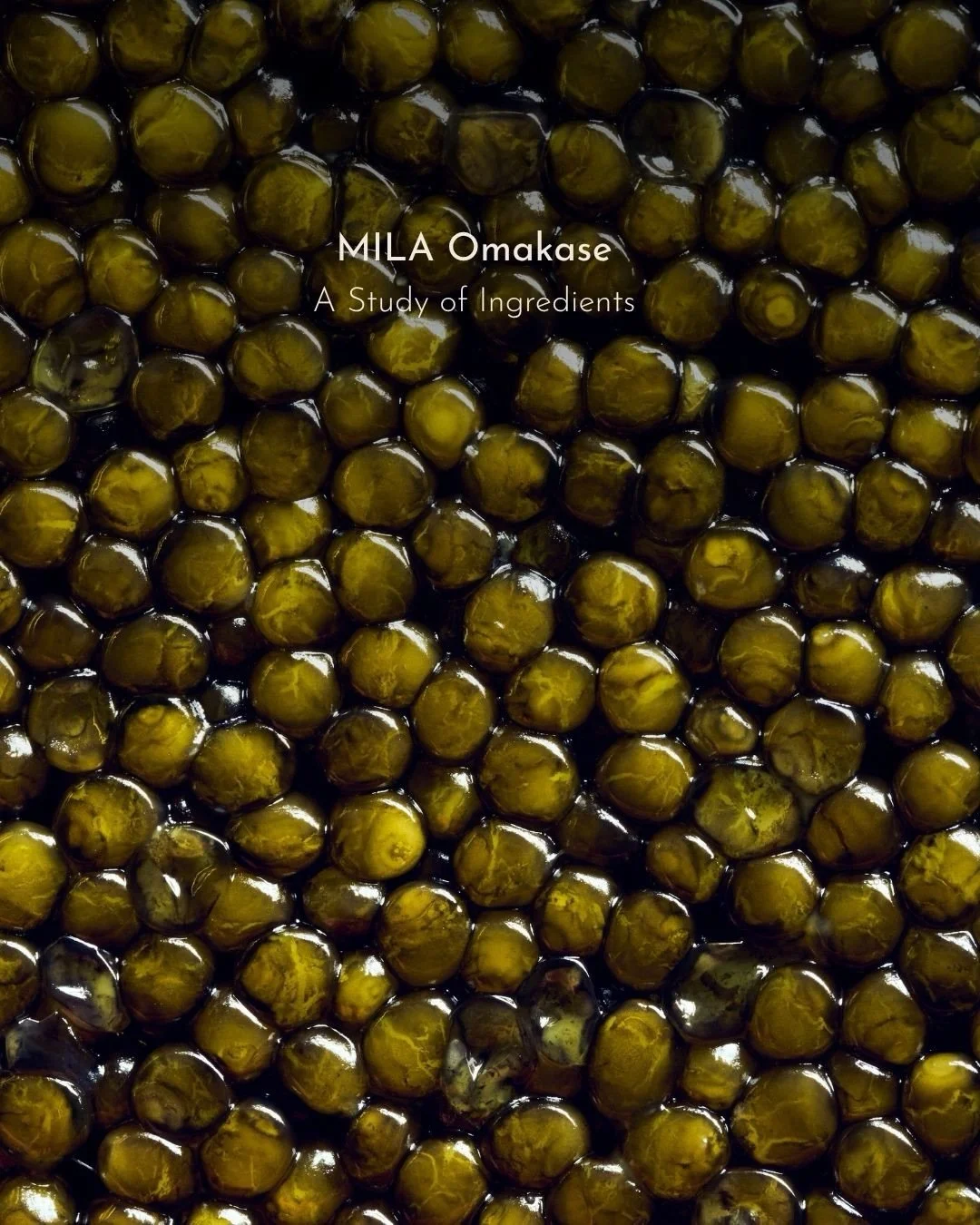 From delicate texture to briny depth, caviar brings a distinct character to MILA Omakase. A Study of Ingredients explores what makes each ingredient unique, with the freshest selections at MILA Omakase.