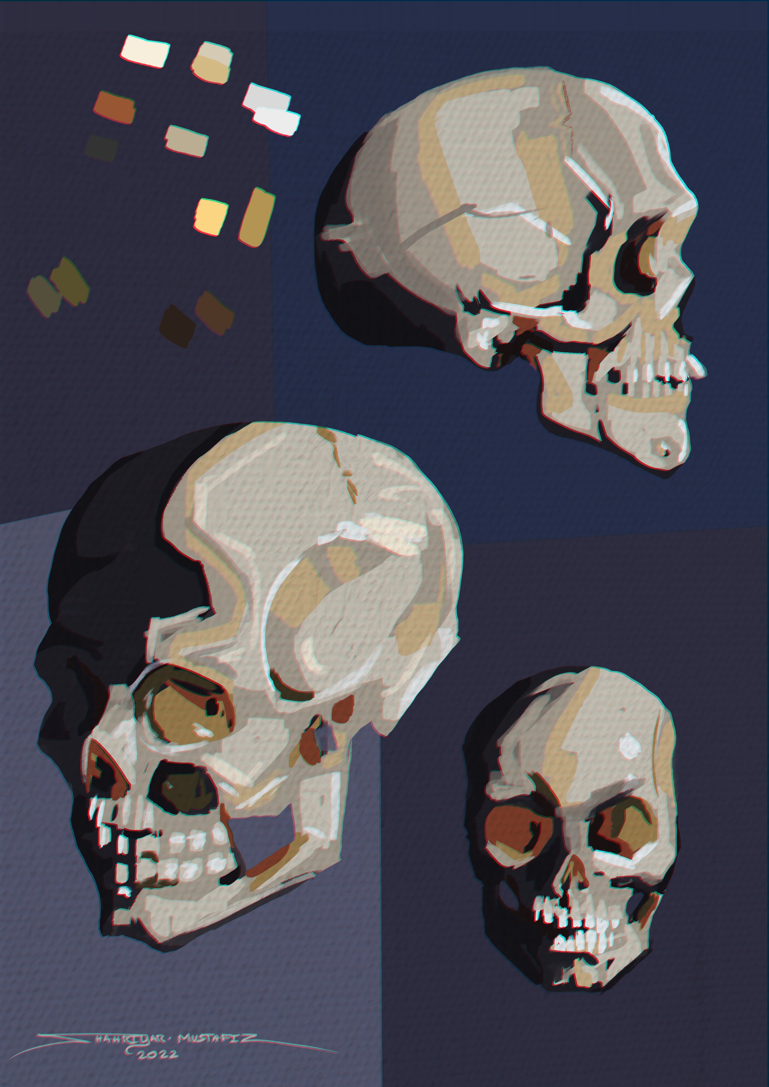Skull sketch 2.jpg