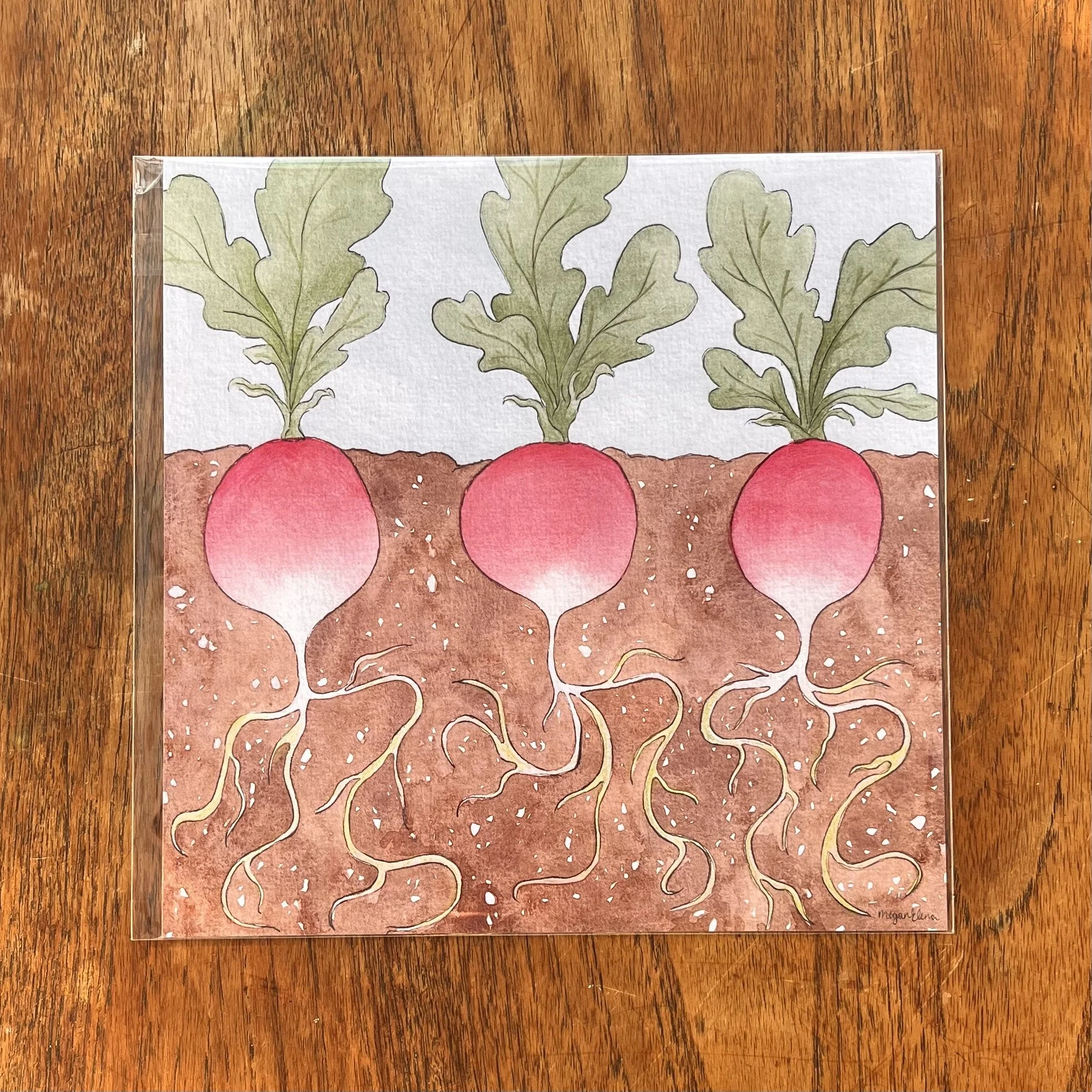 Rooted Radishes
