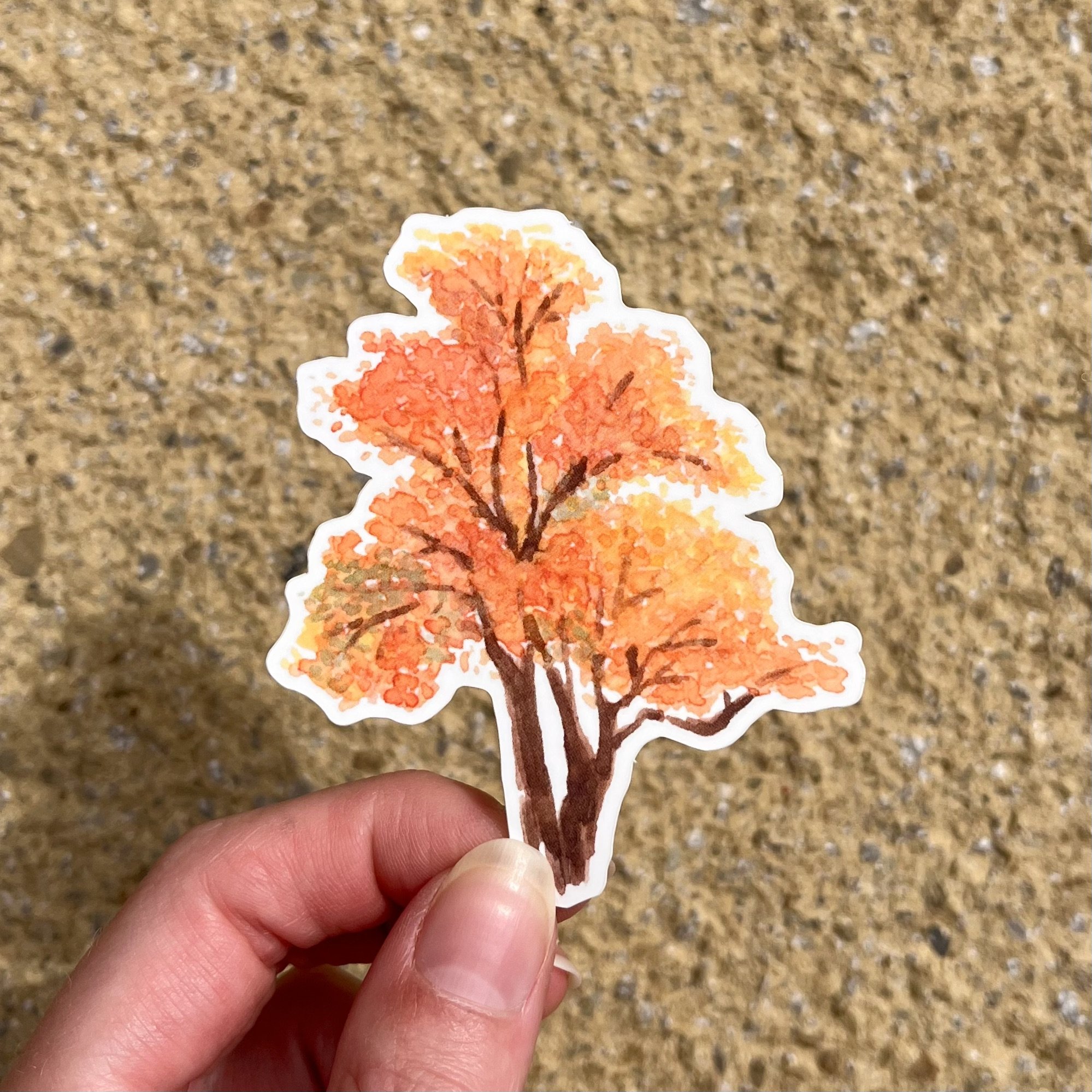 Autumn Tree Sticker
