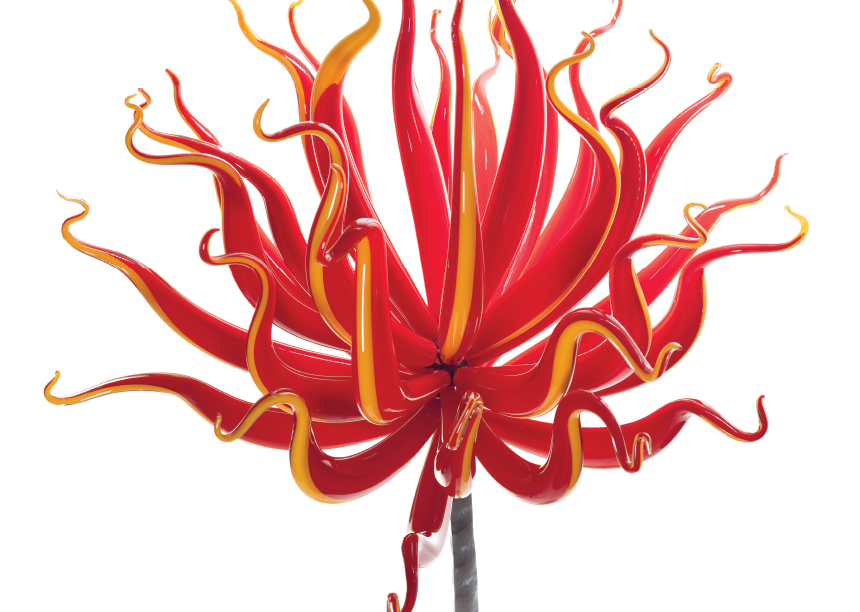 COLLECT-2022–4-SUB-Home-860x612px.png