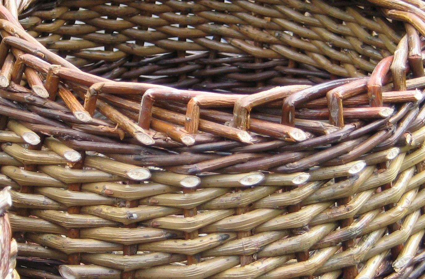 Fruit-Basket.jpg