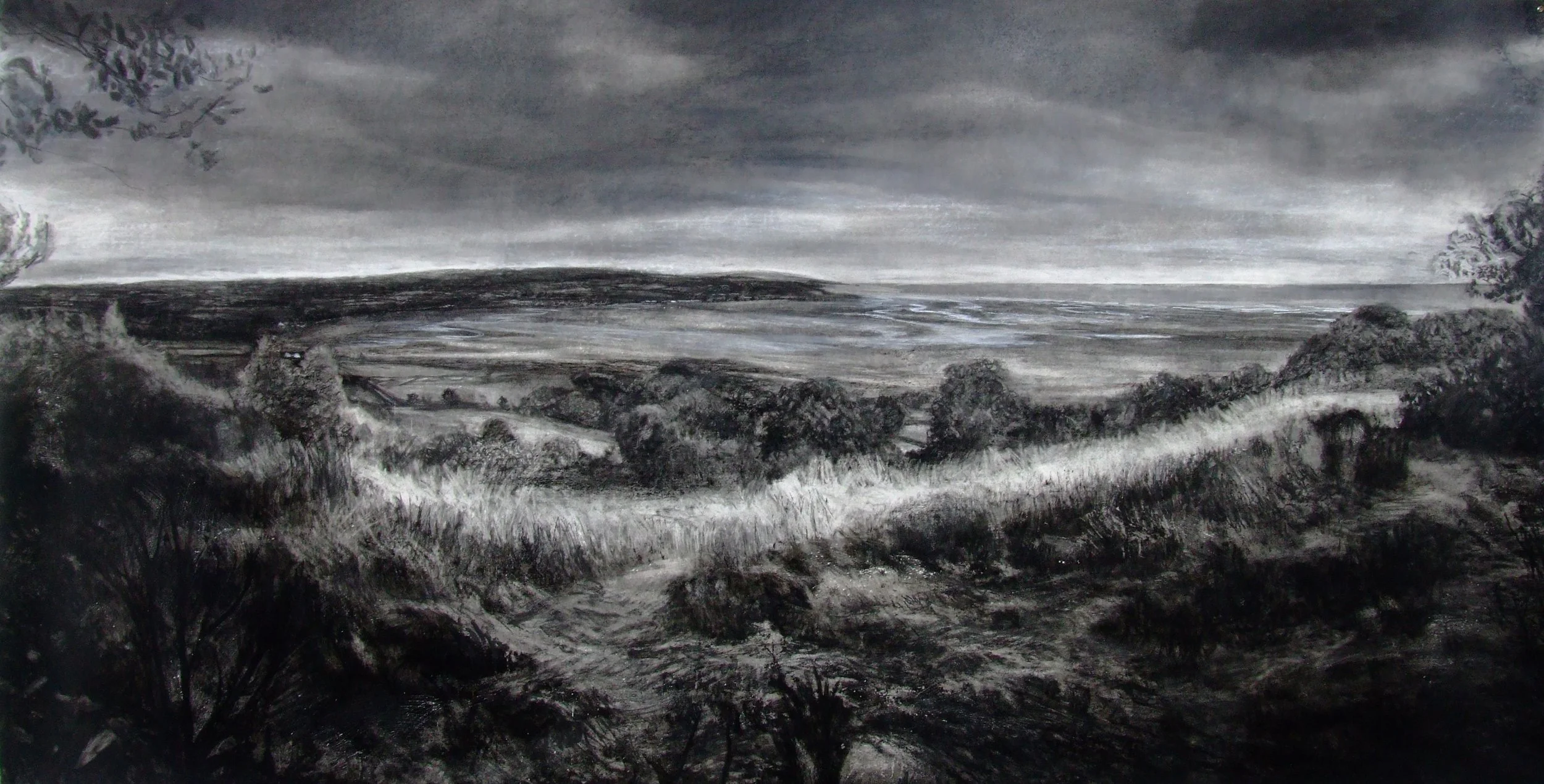 Copy of these are the woods.jpg