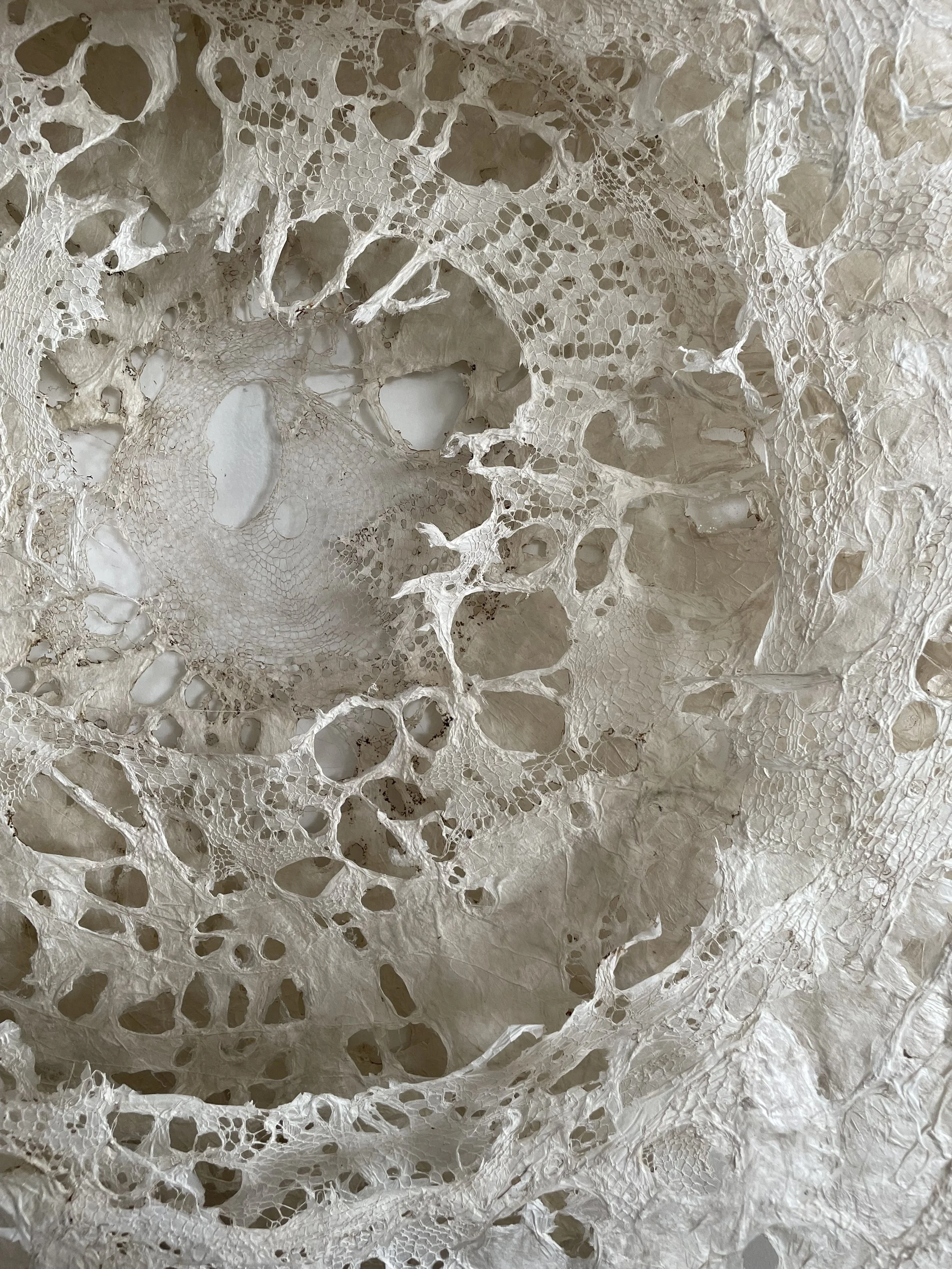 Amanda Coppes-Martin Nov 2025 1.jpeg