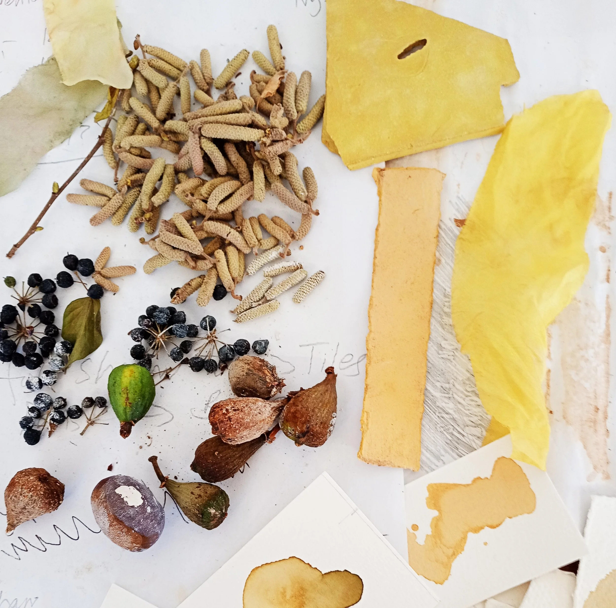 Jane Perryman WEB 4.jpg