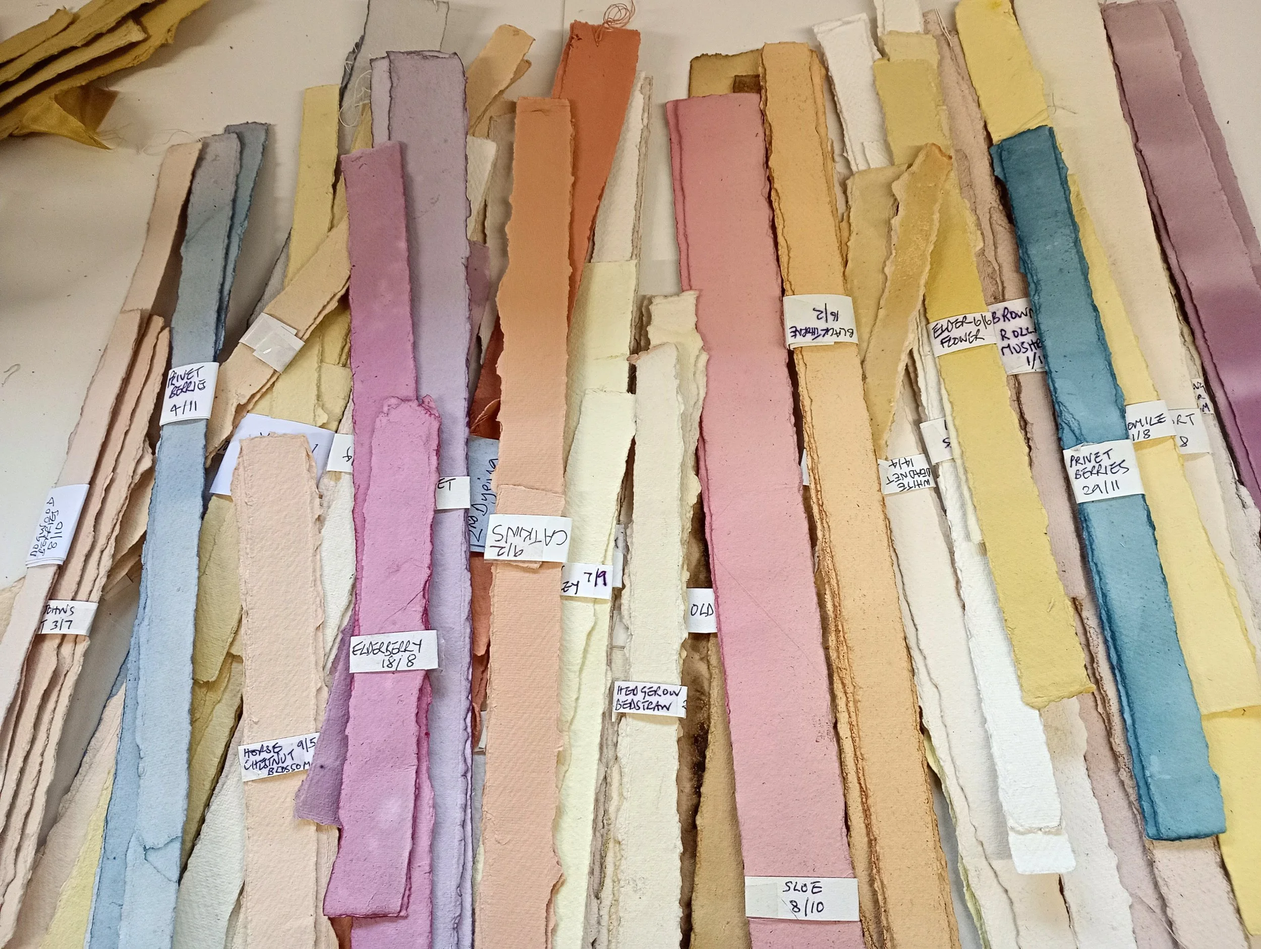 Jane Perryman WEB 3.jpg