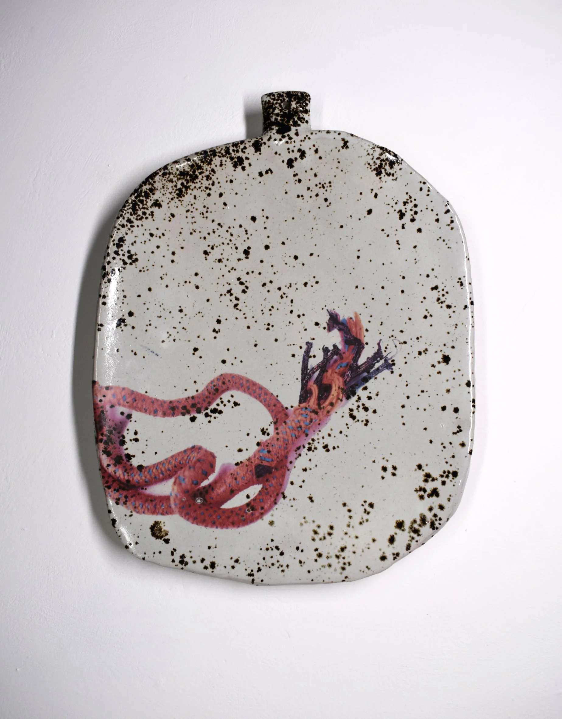 Peter Bodenham_Plastic_tidal_zone_largeplate02.jpg