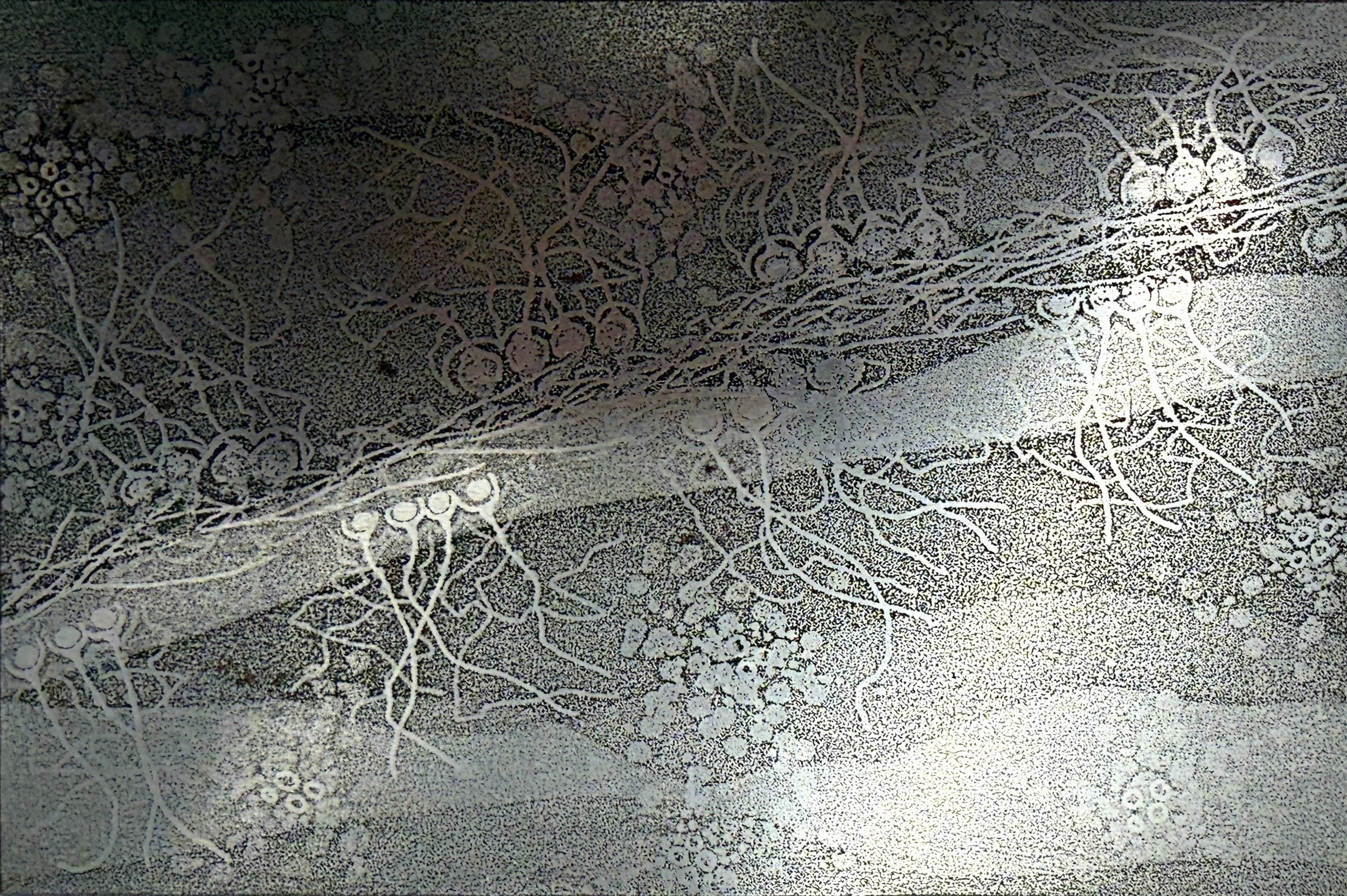 Nigel Morris 3 March 2026.JPG