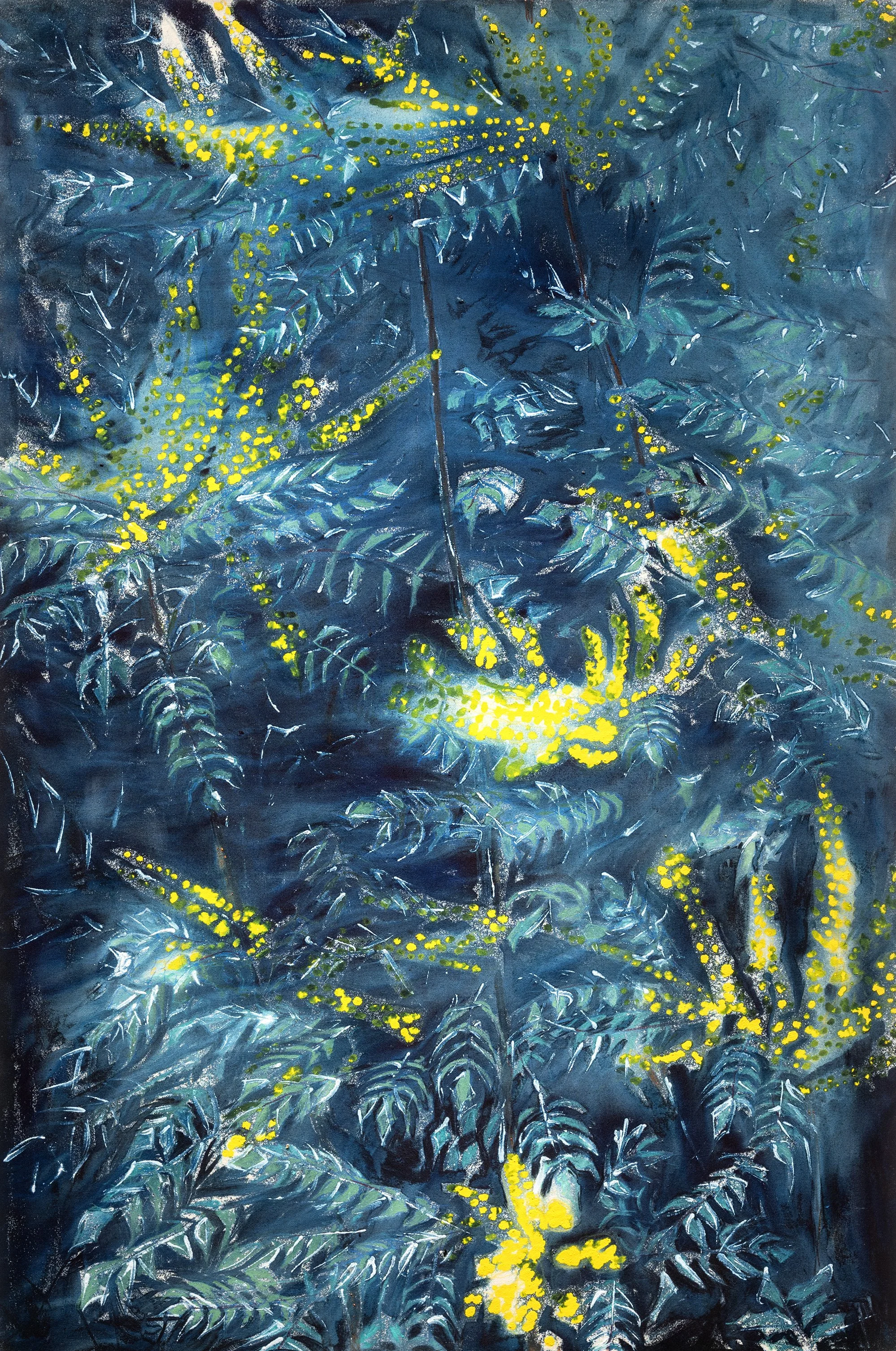 Jonathan Le Vay Mahonia - allegro v3.jpg