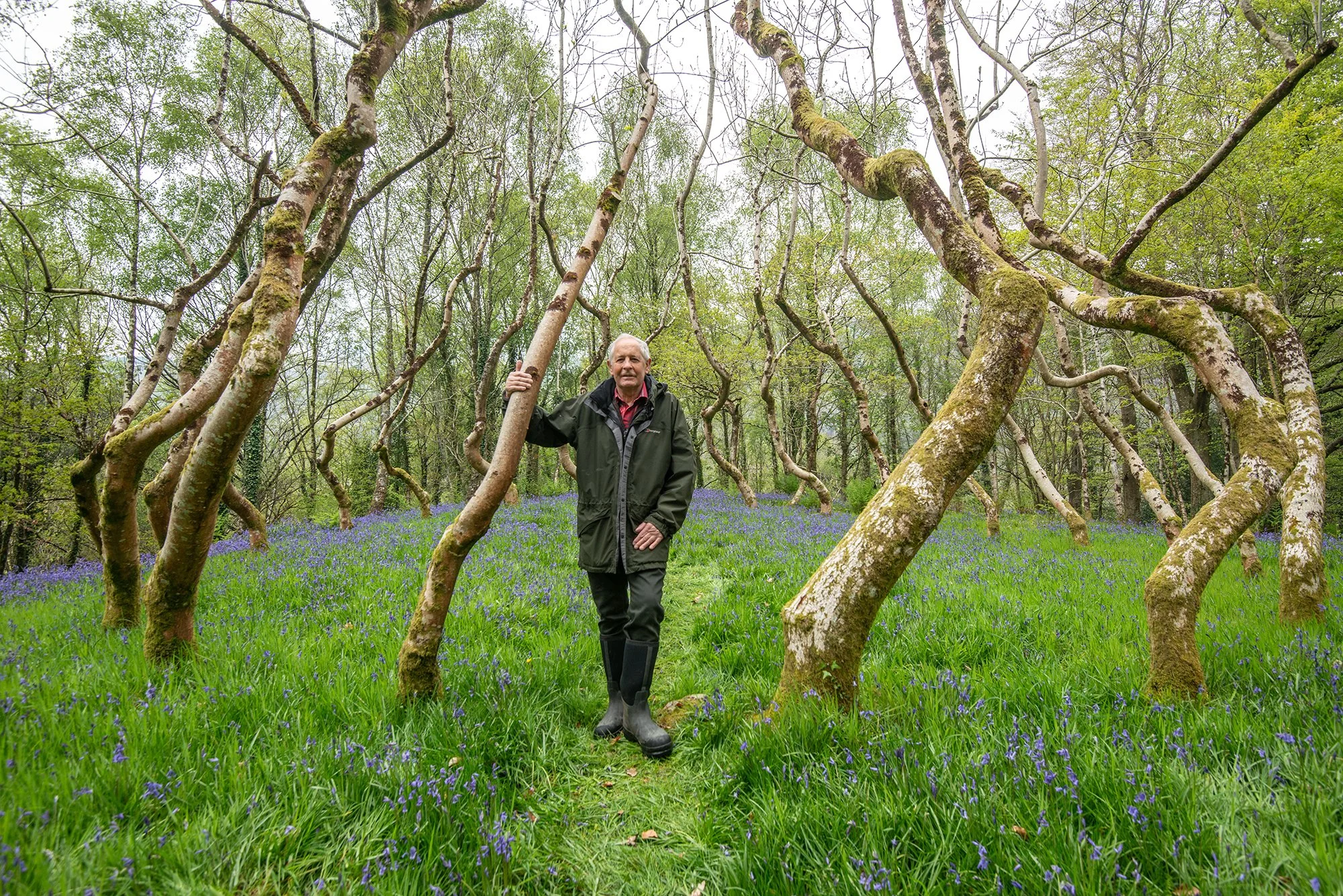 DSC_5750 David Nash in Ash Dome 170501 image by Rob Fraser:somewherenowhere.com .jpg