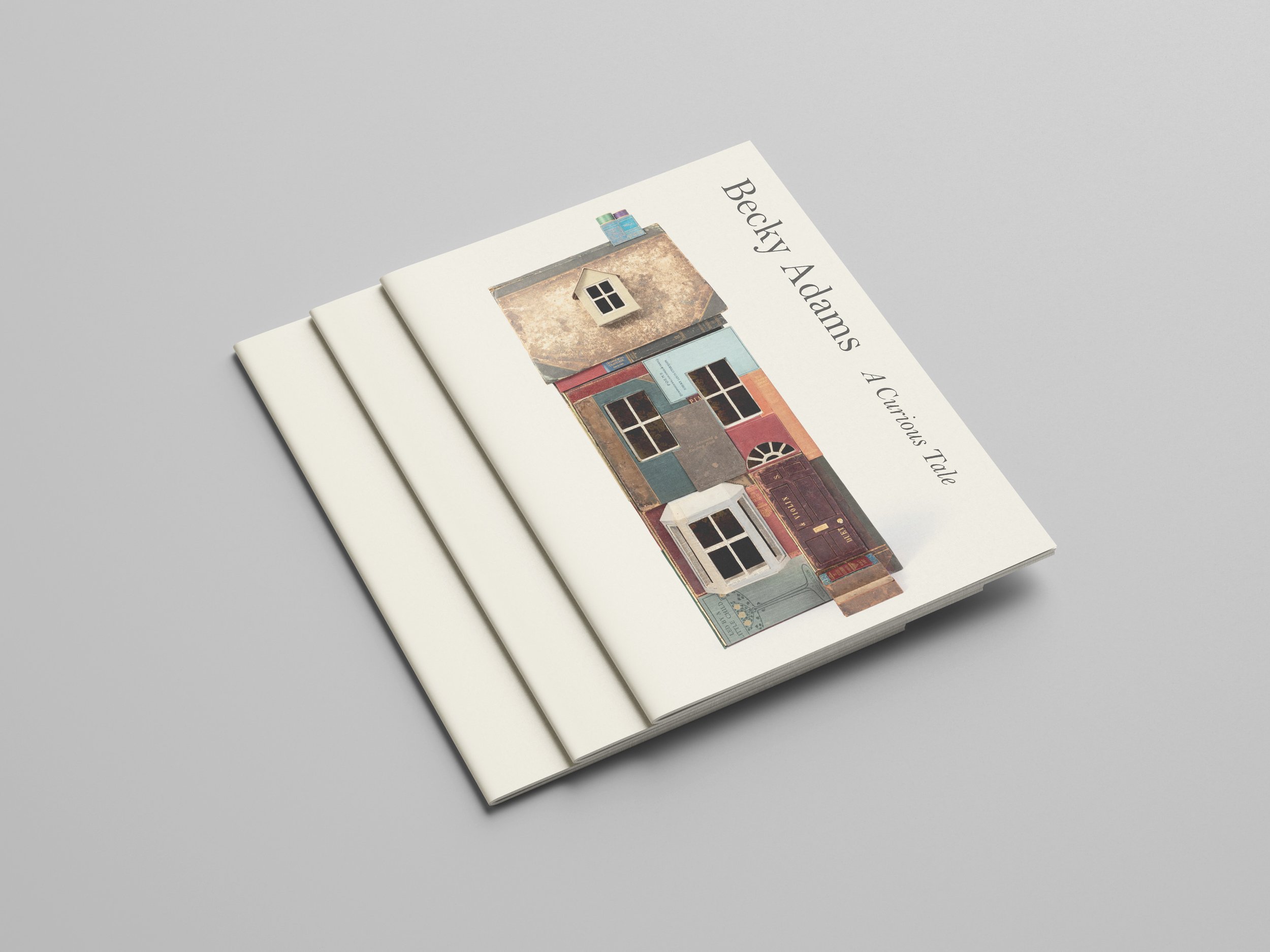 Becky Adams A5_01.jpg