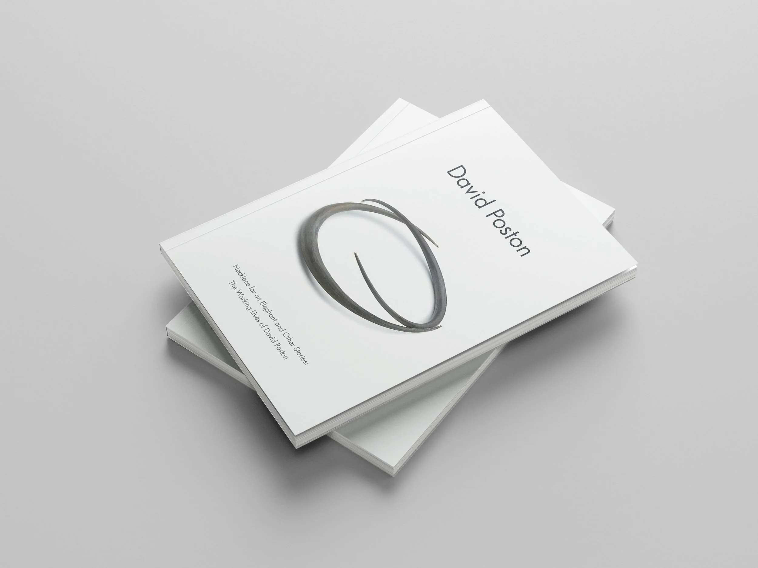 DP_Mockup_4.jpg