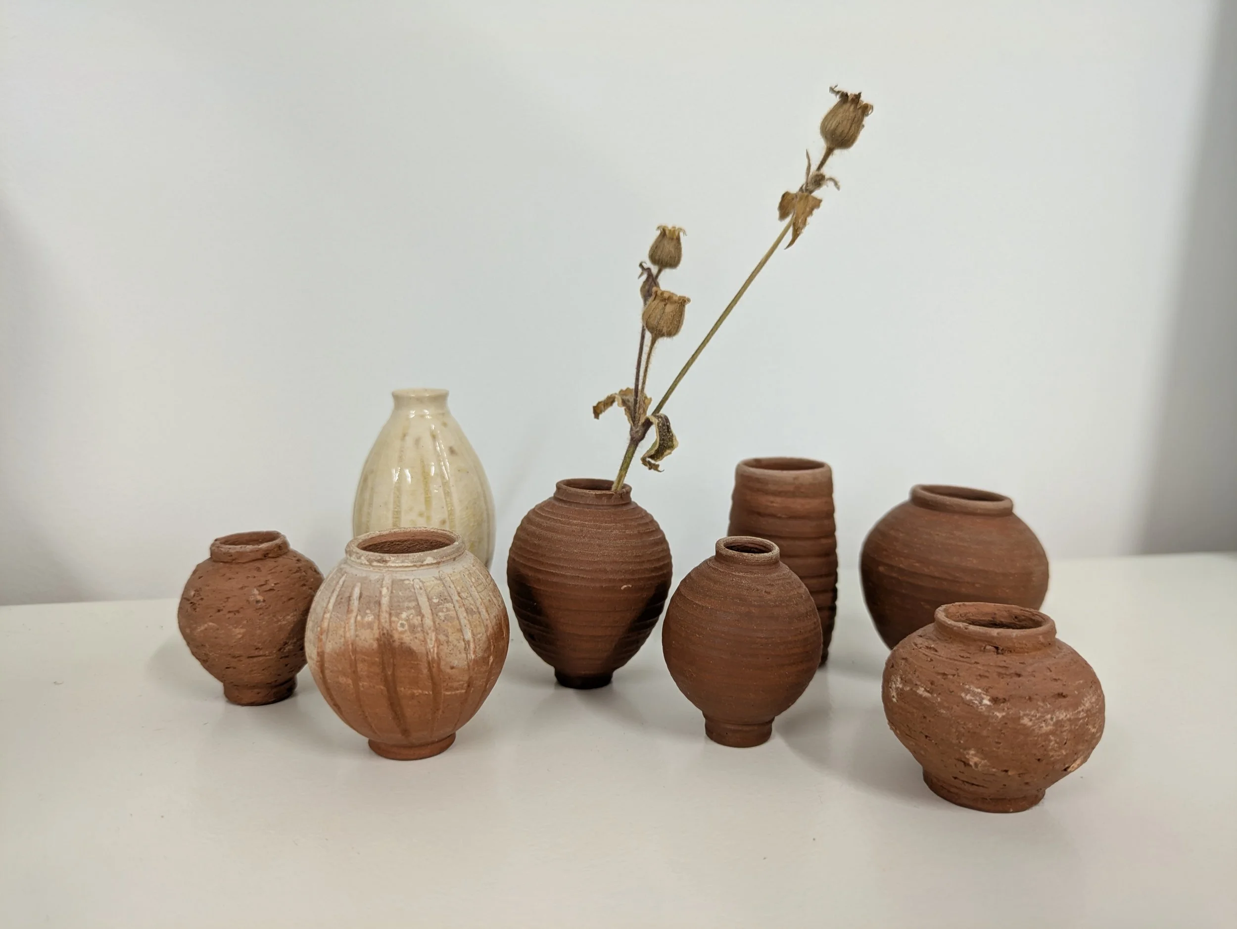 Erin Lloyd Seed pod pots.jpg