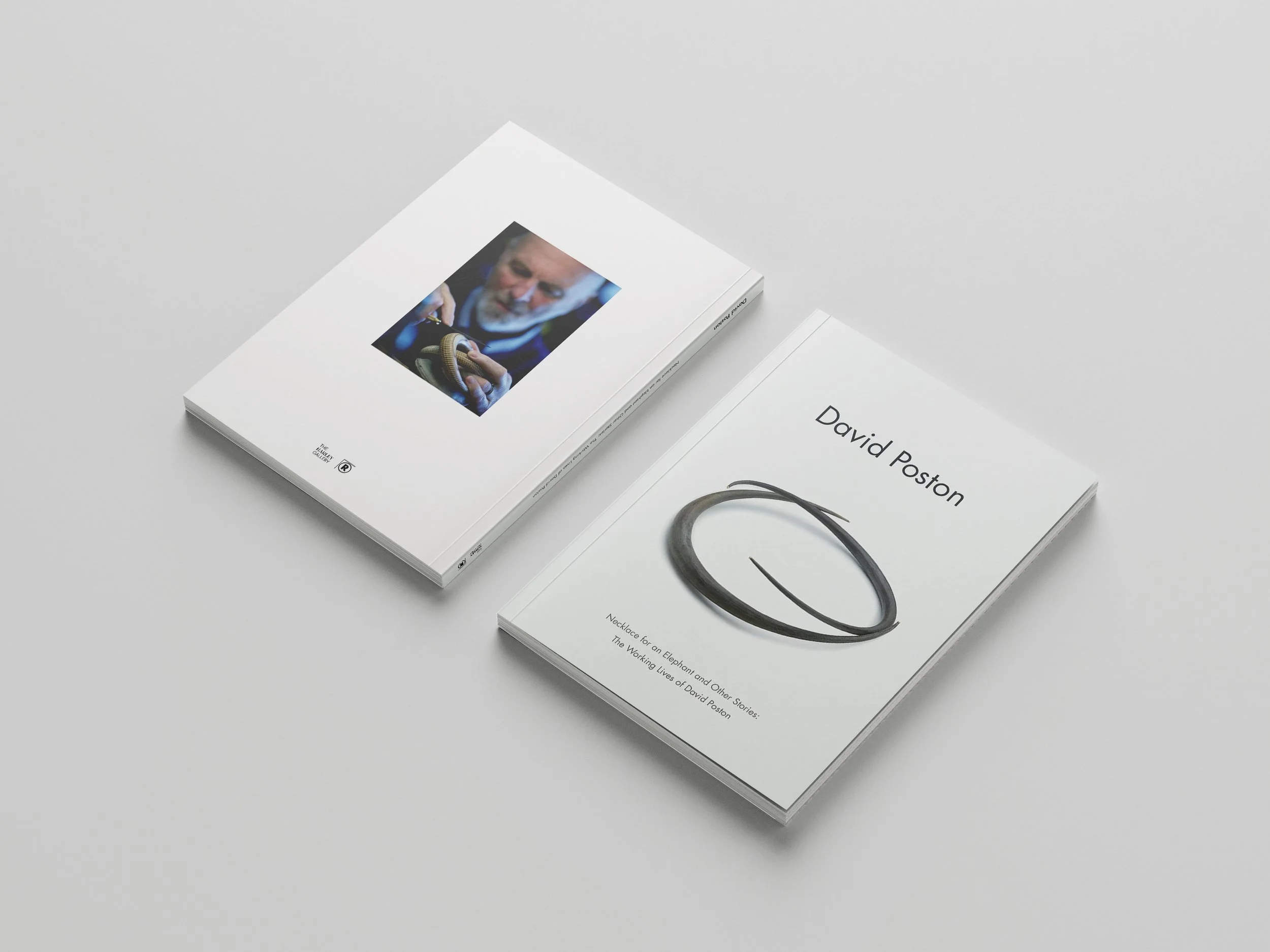 DP_Mockup_2.jpg