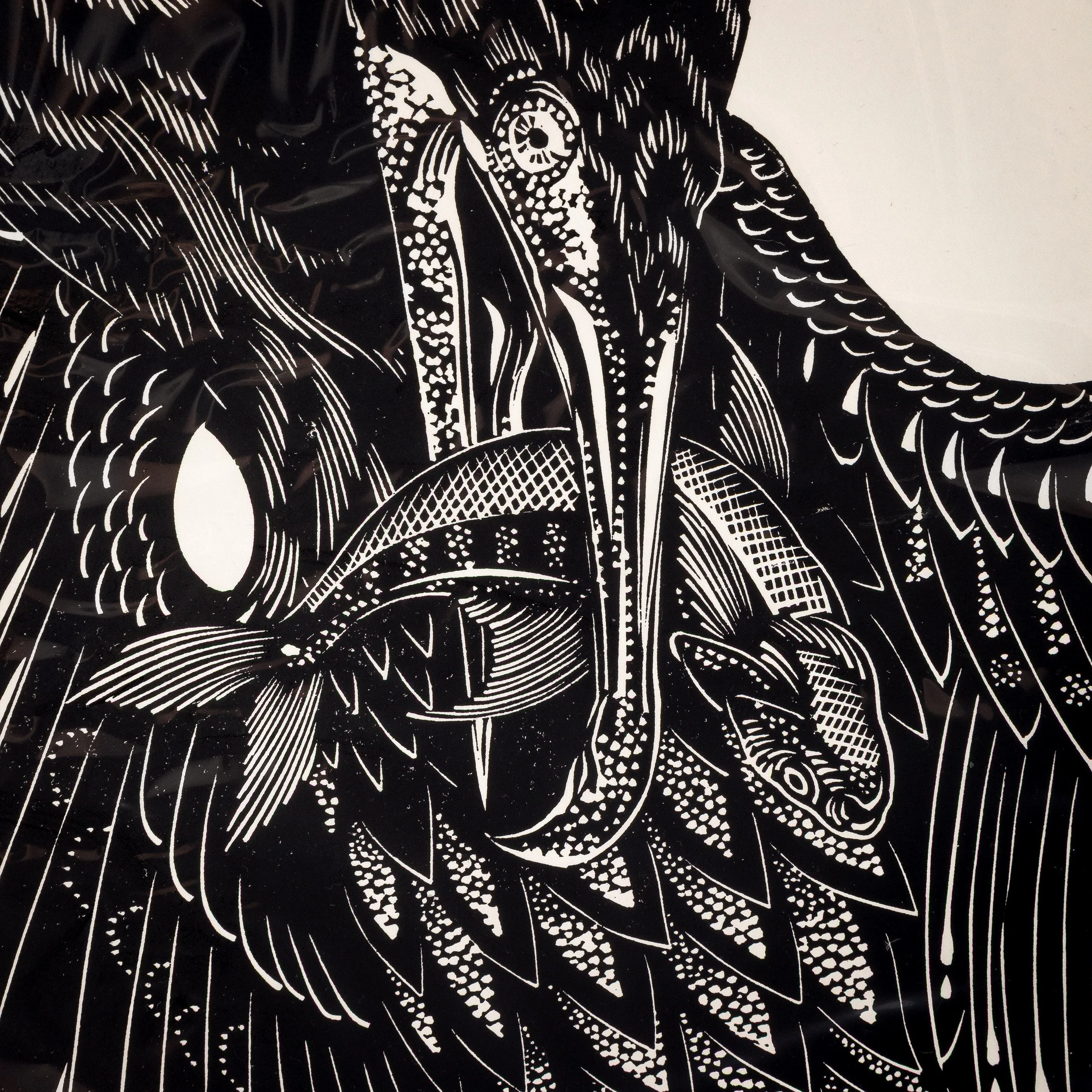 Jonah Evans – Cormorant Print