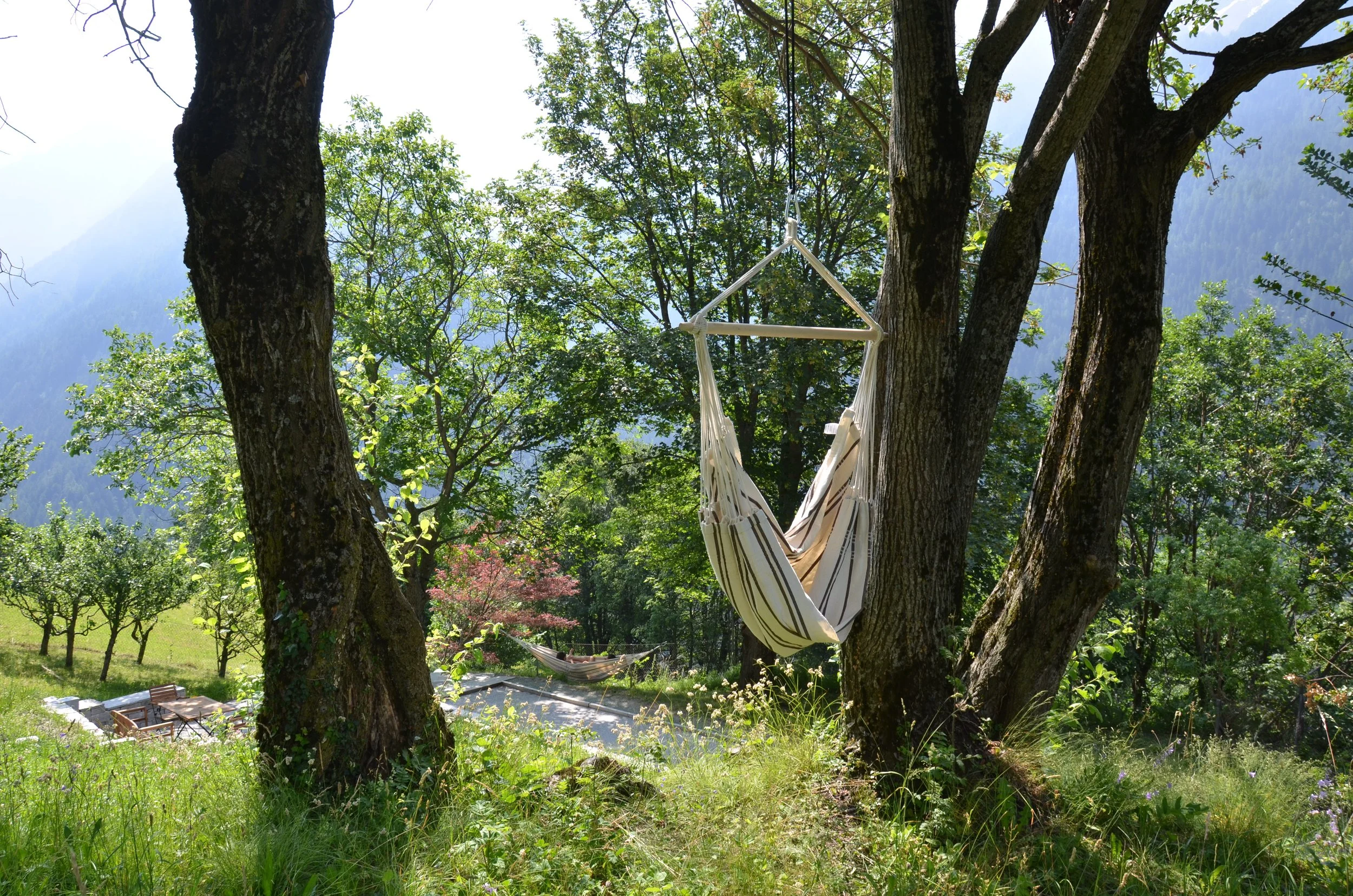 DSC_8643.JPG