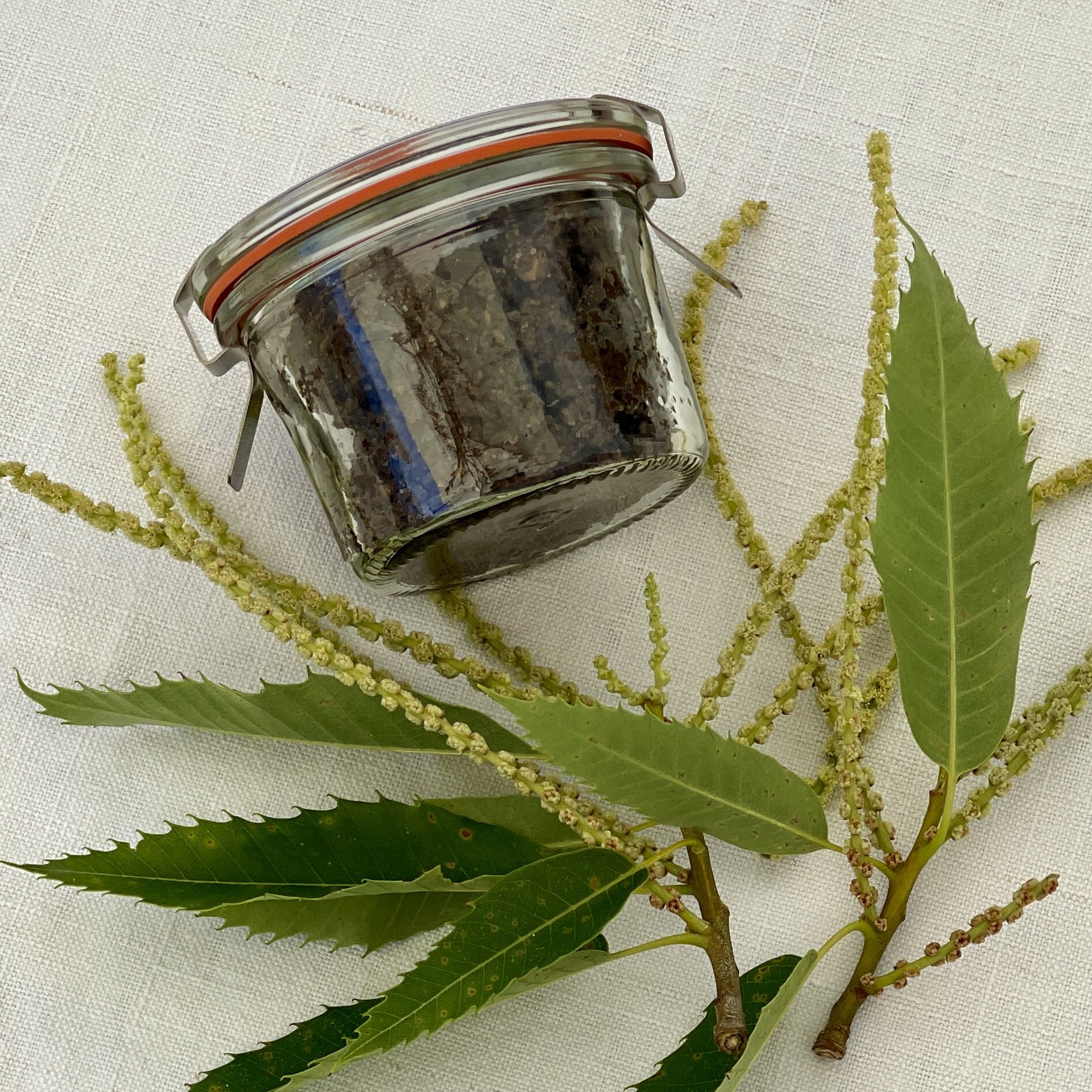 Pestada di Bregaglia