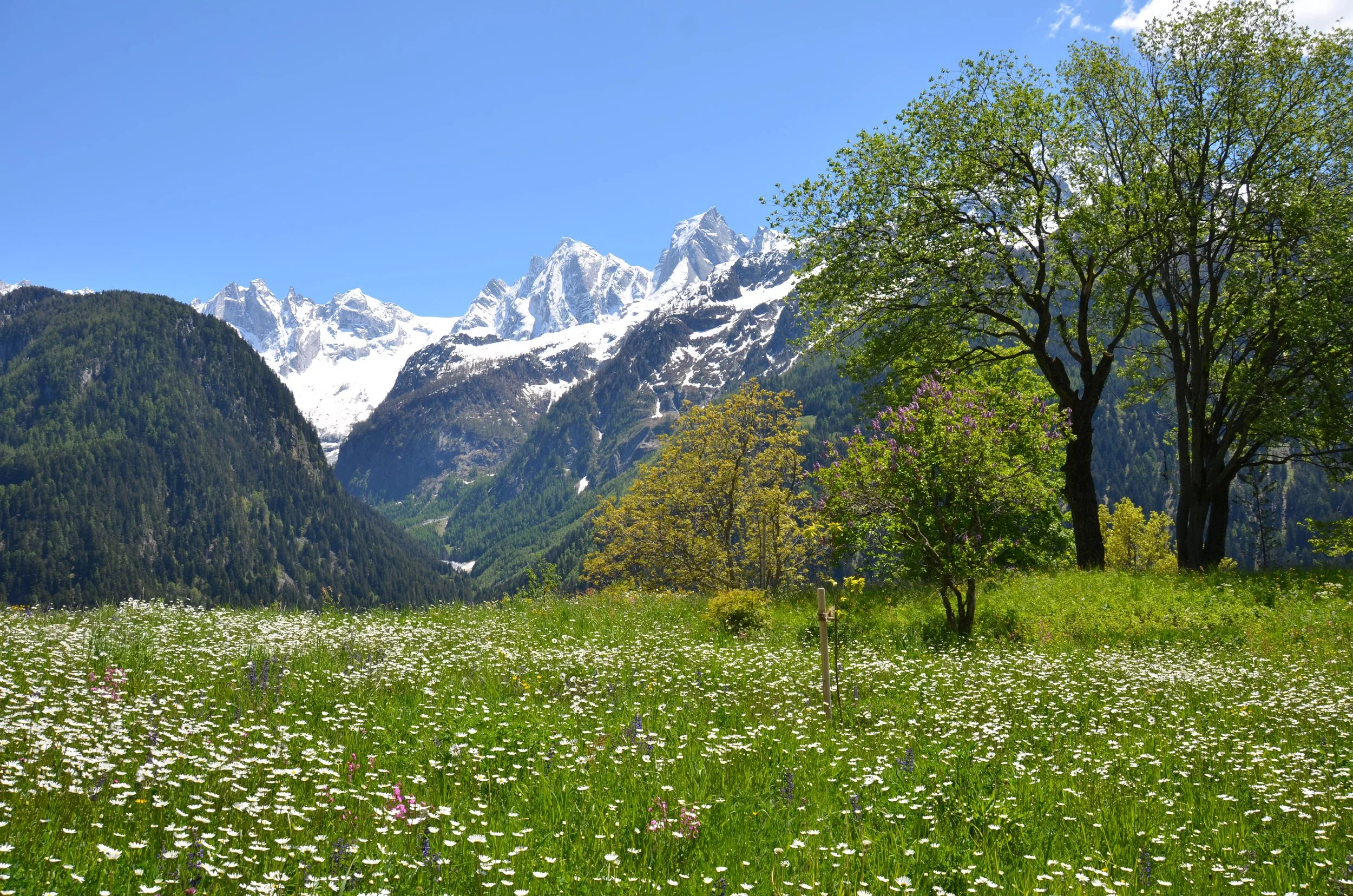DSC_2113.JPG