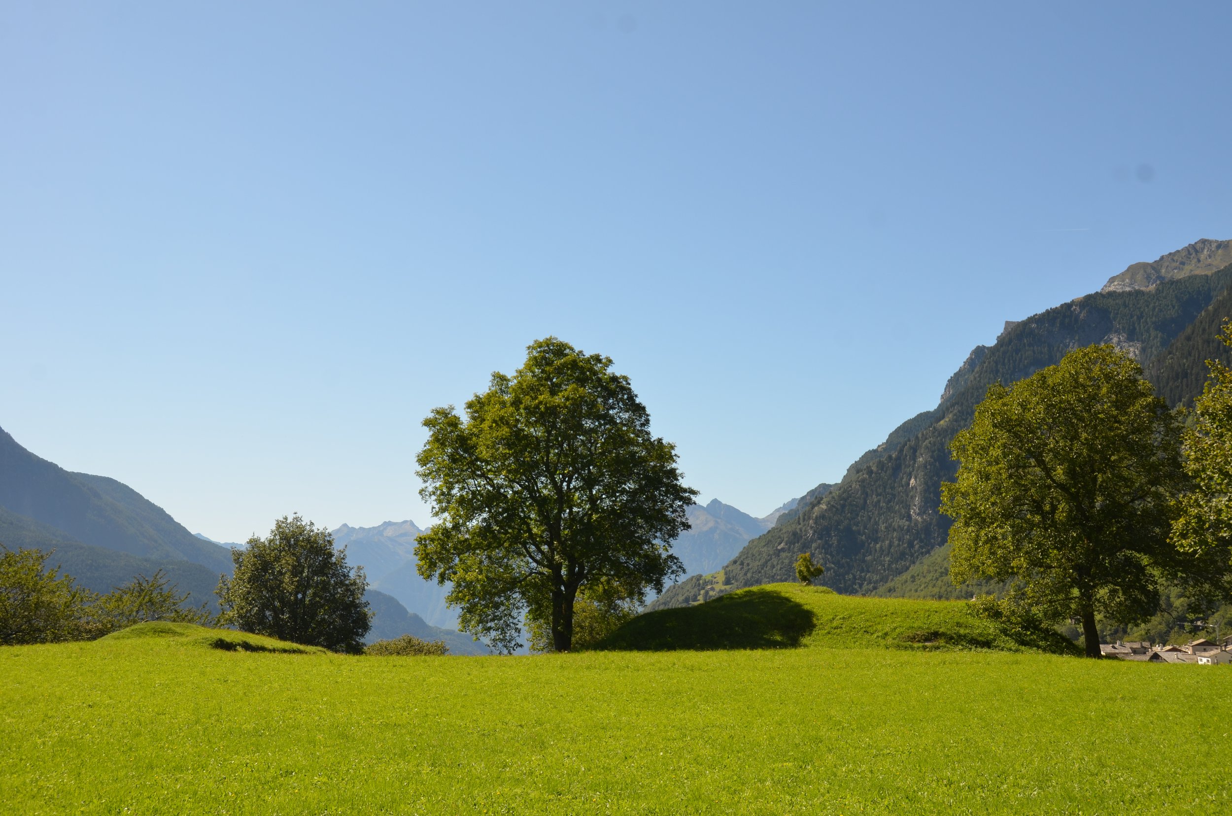 DSC_9346.JPG