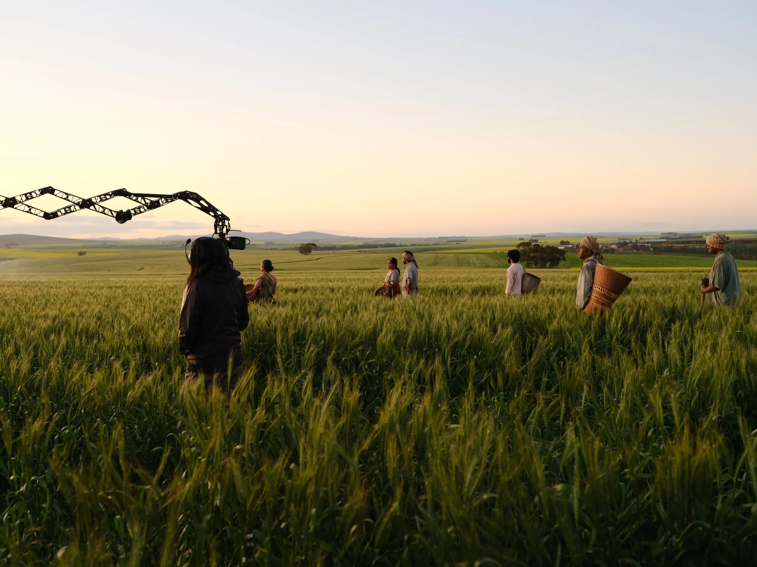 Filming crew captures footage of farmers working in a green wheat field at sunset.
